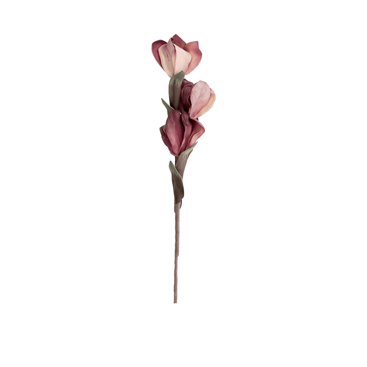 RI002667_2