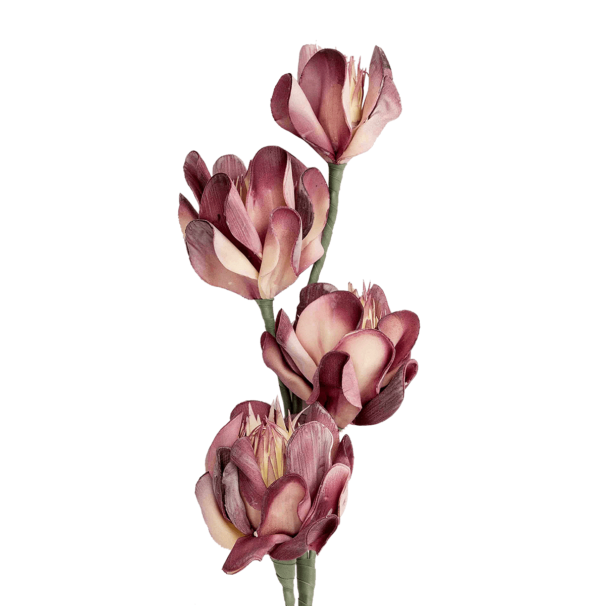 RI002668_1_1
