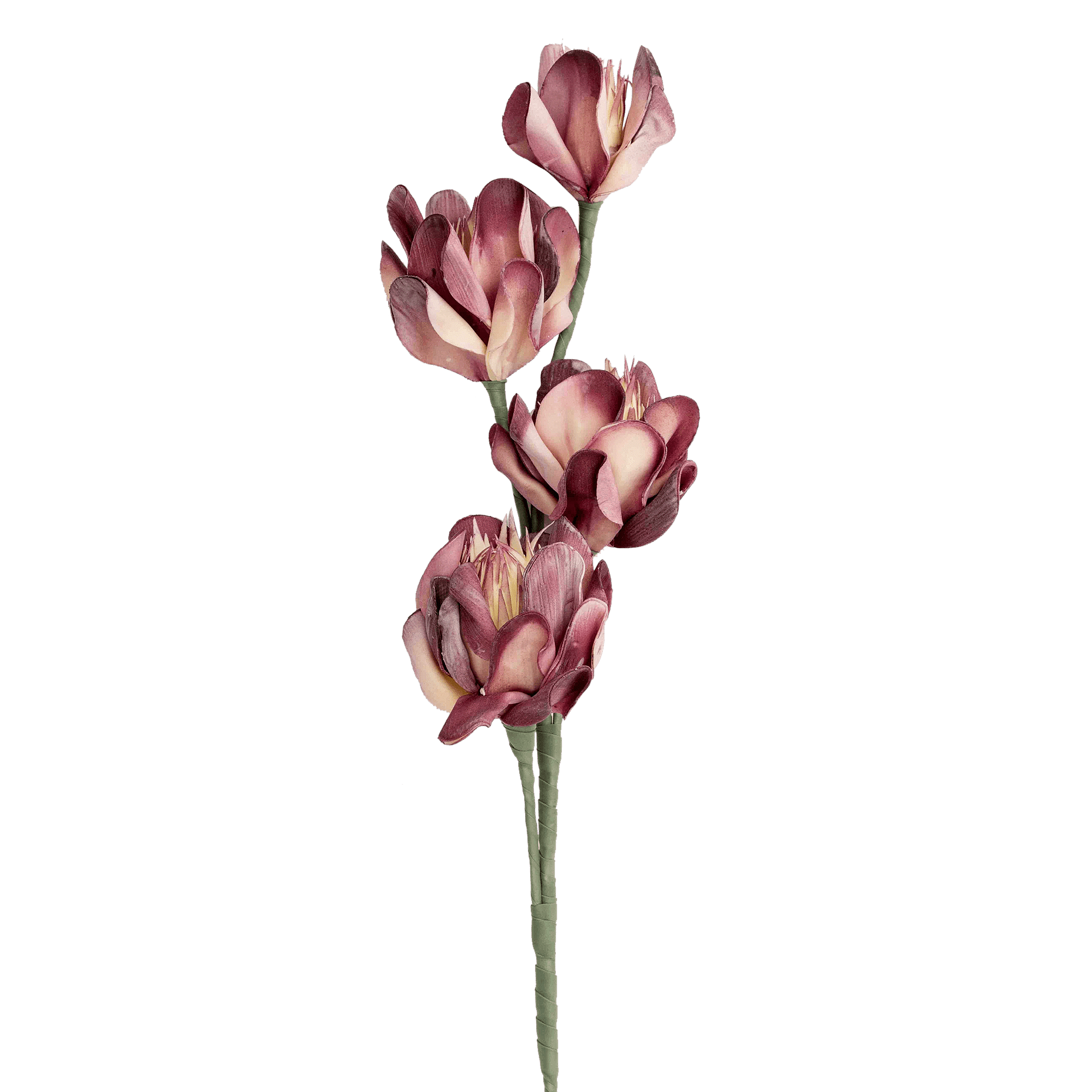 RI002668_2_1