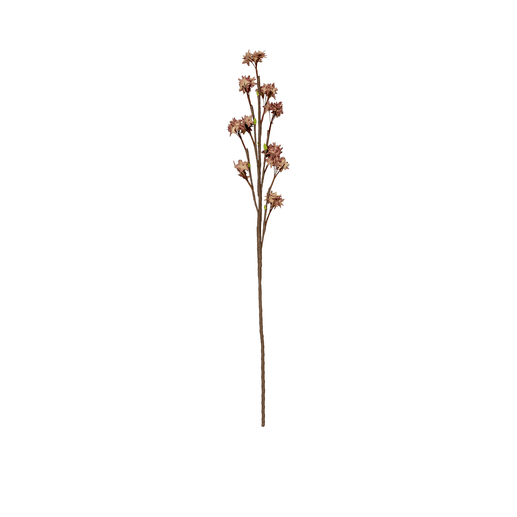 RI002670_2
