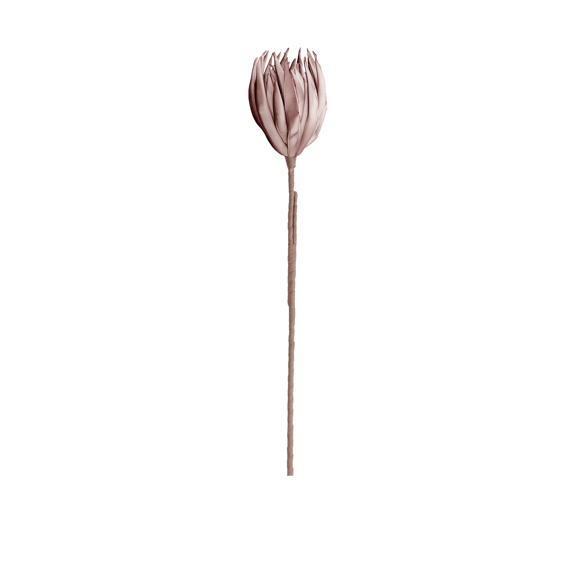 RI002672_2