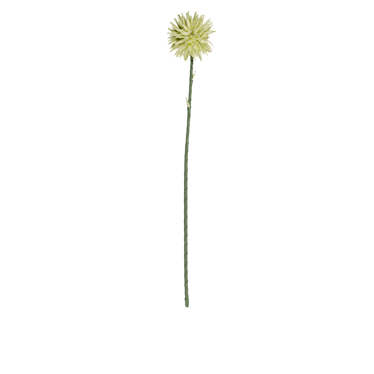RI002674_2