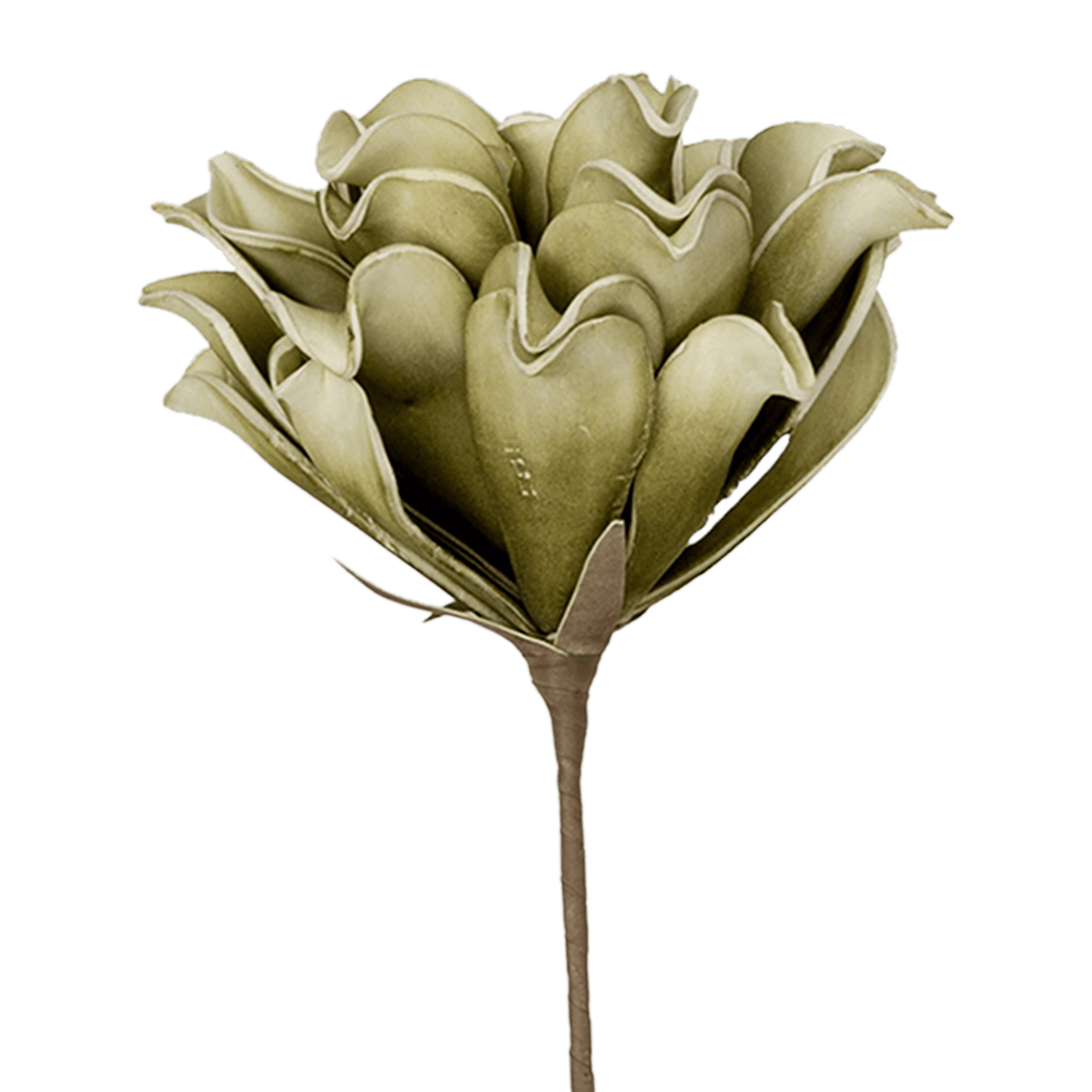 RI002675_1_1
