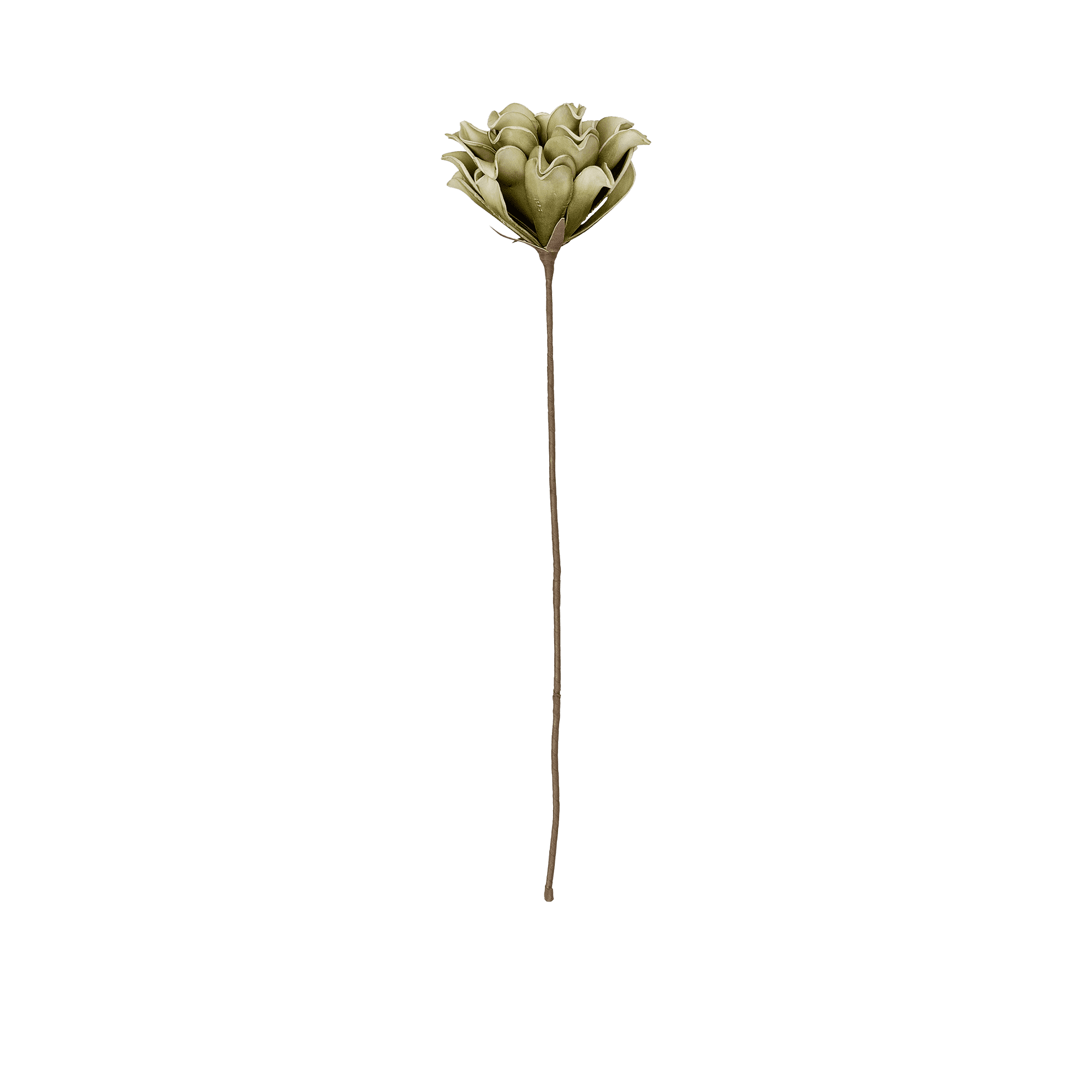 RI002675_2