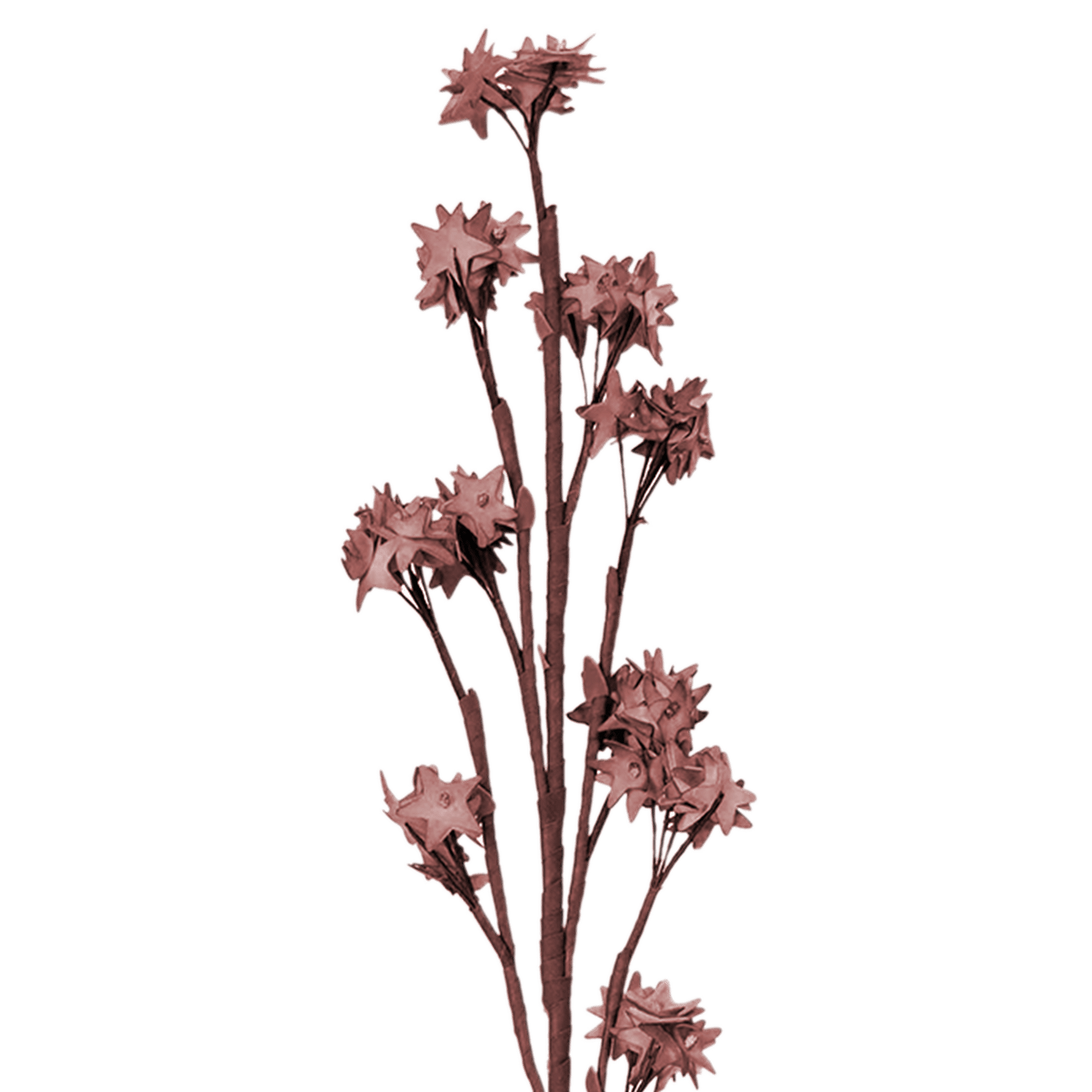 RI002723_1_1