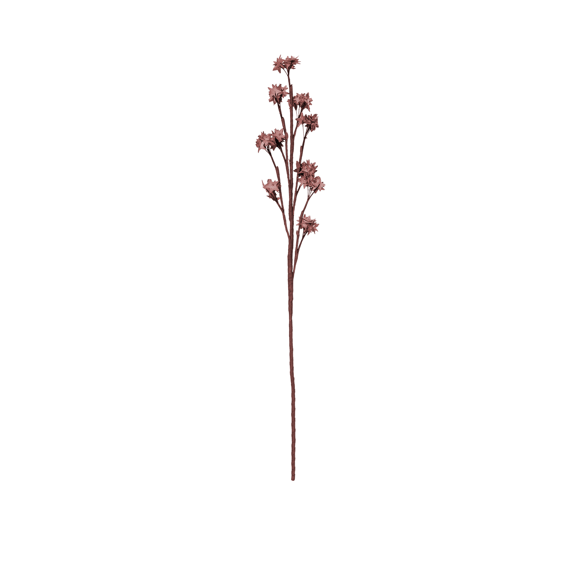 RI002723_2