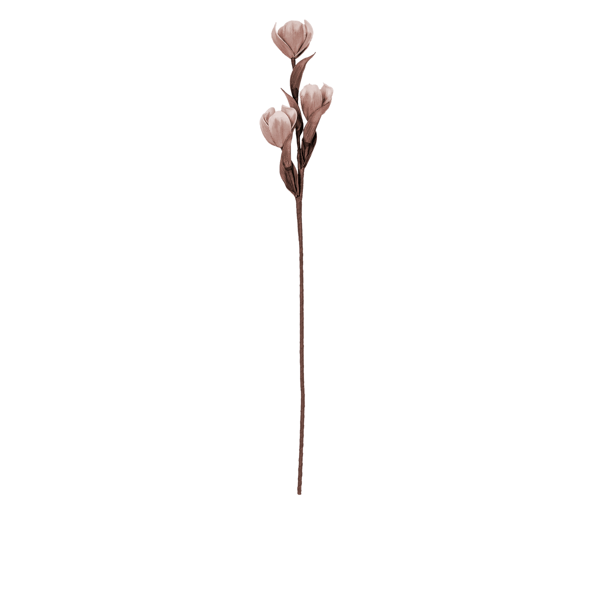 RI002724_2