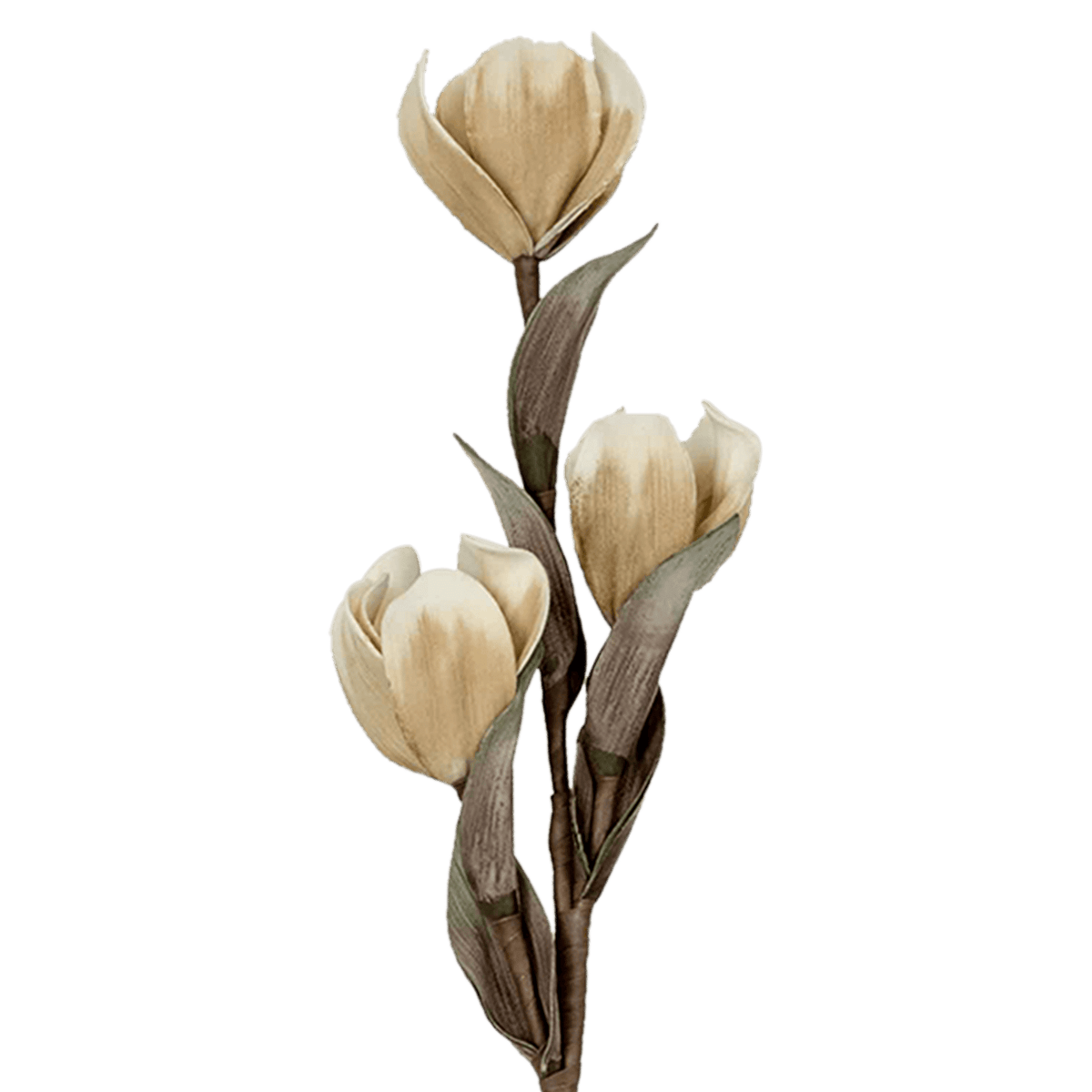 RI002725_1_1