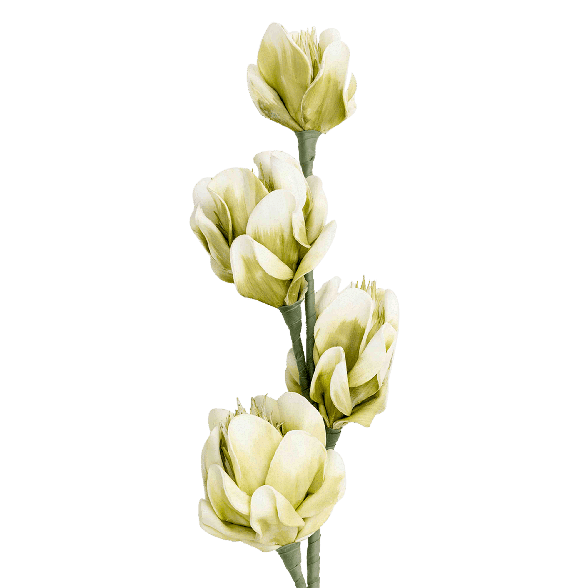 RI002726_1_1