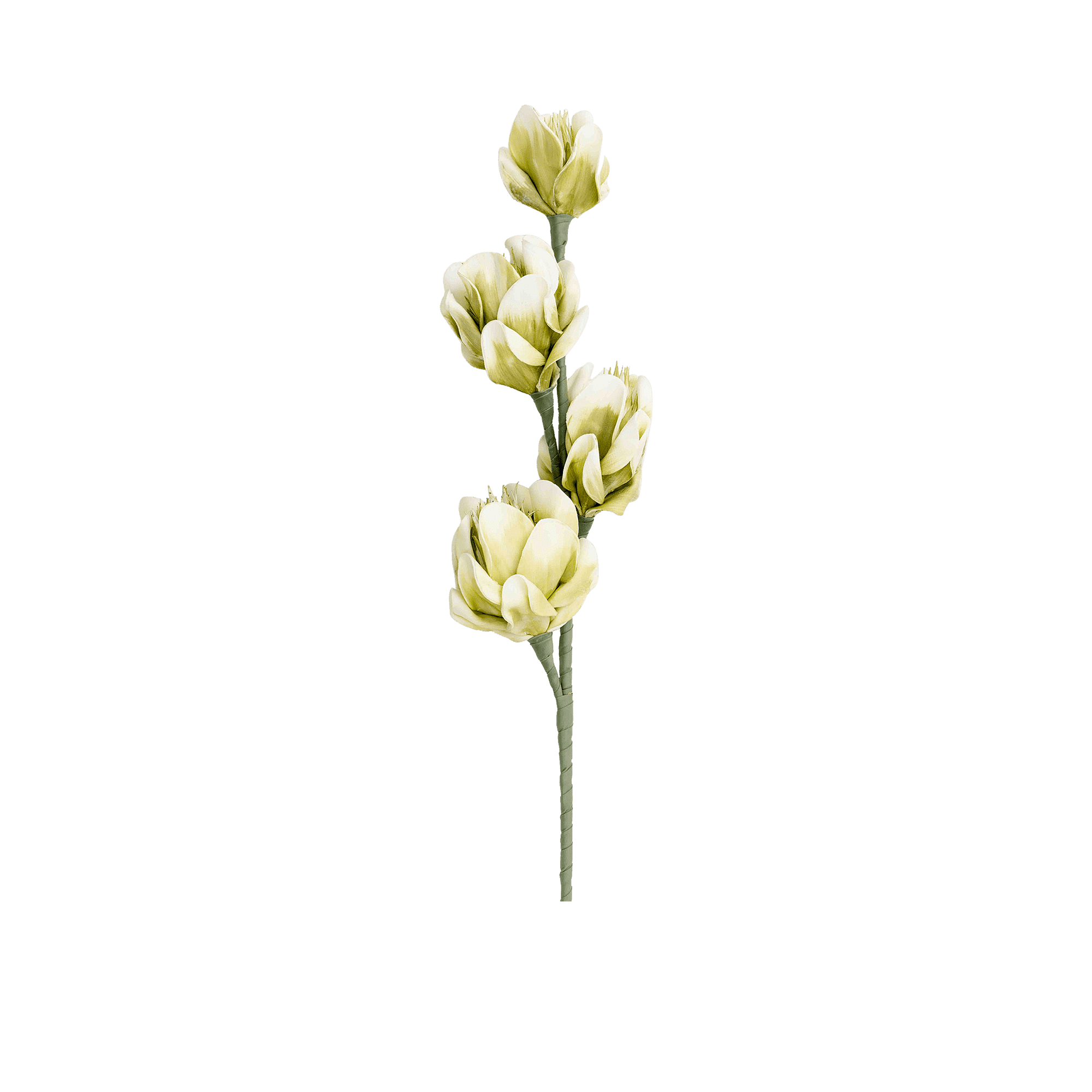 RI002726_2