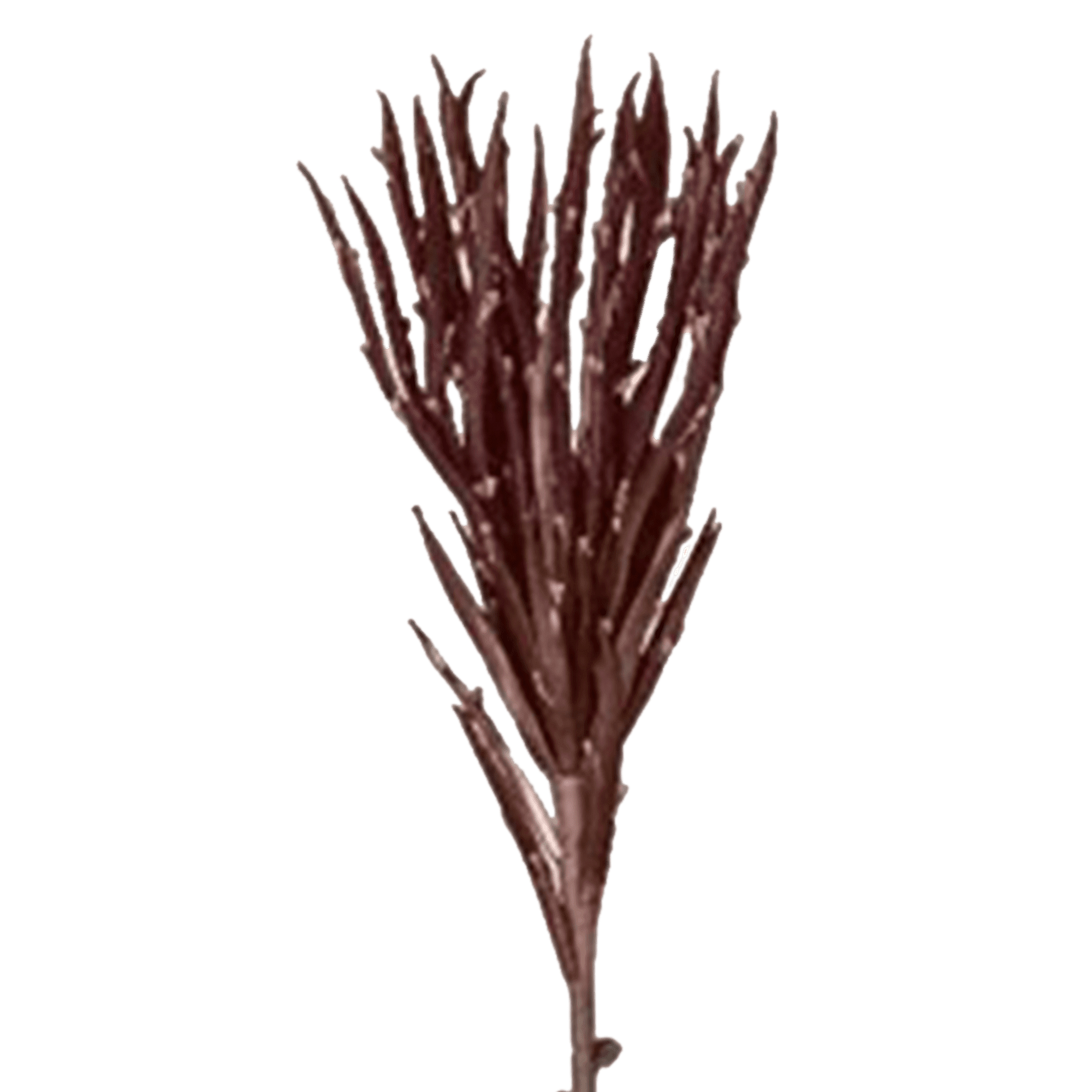 RI002765_1_1