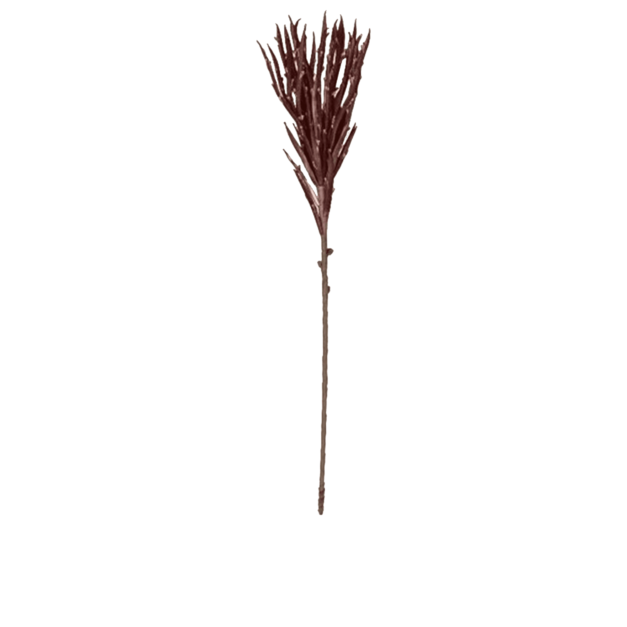 RI002765_2