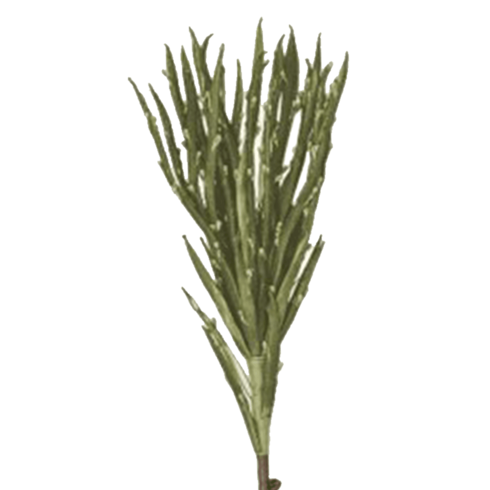 RI002766_1_1