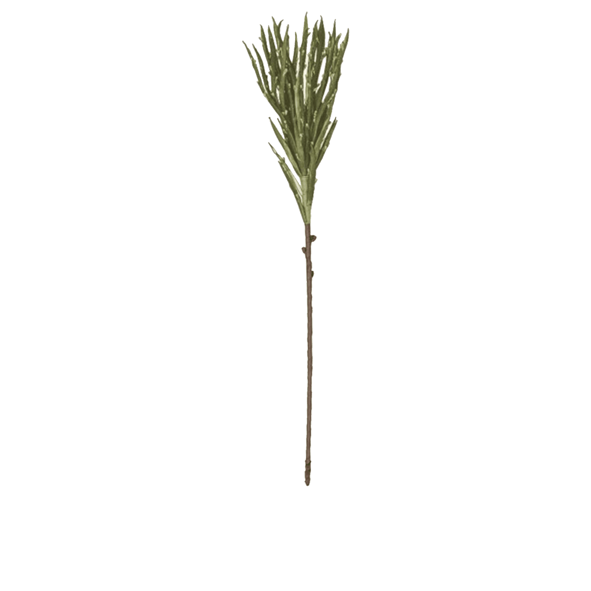 RI002766_2