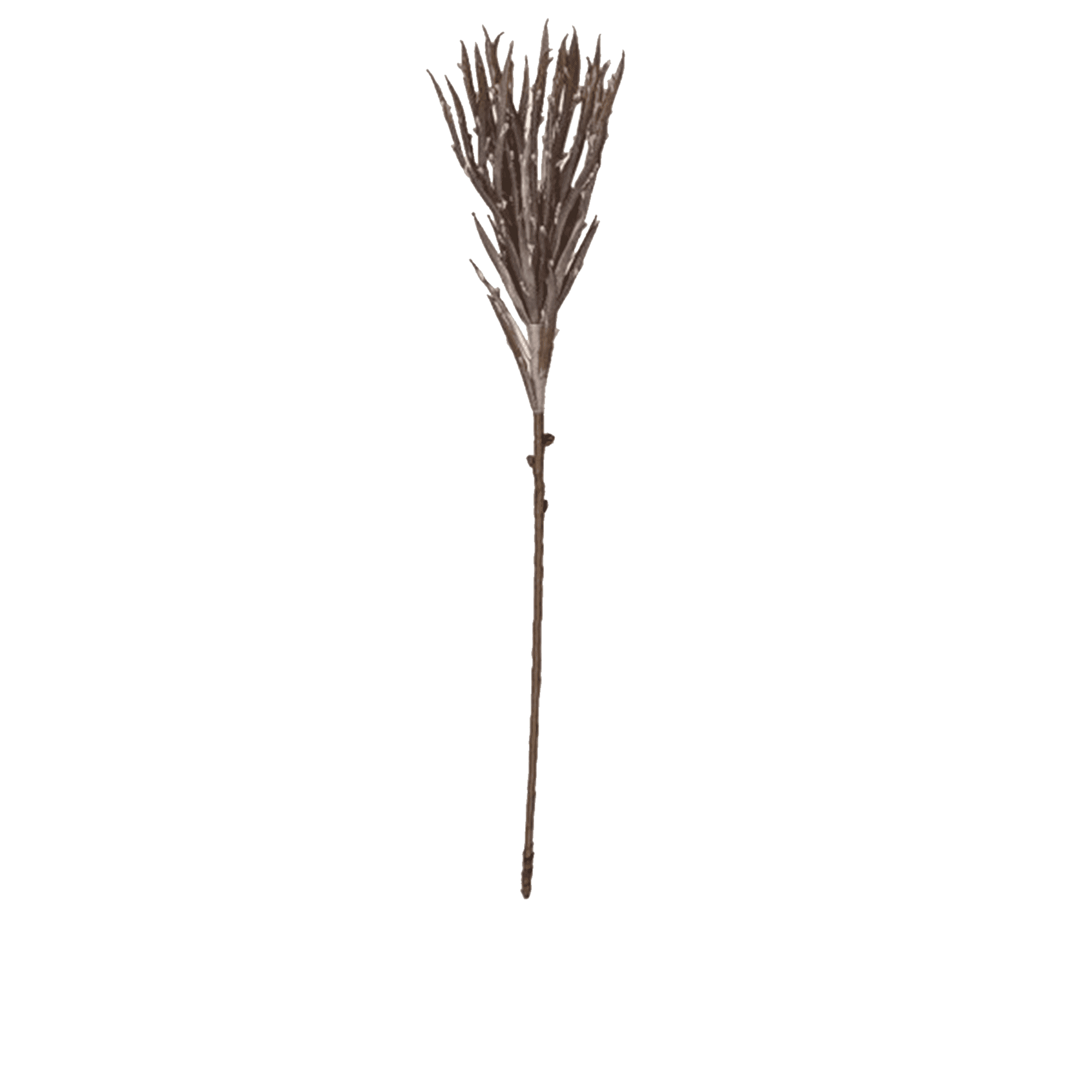 RI002767_2