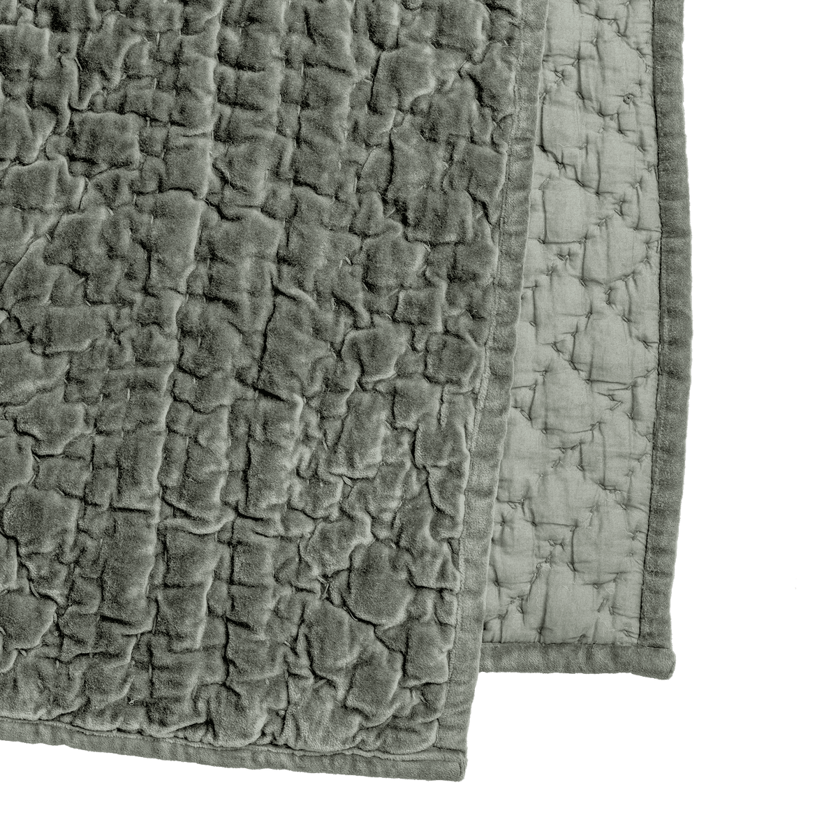 RI002885_1_1