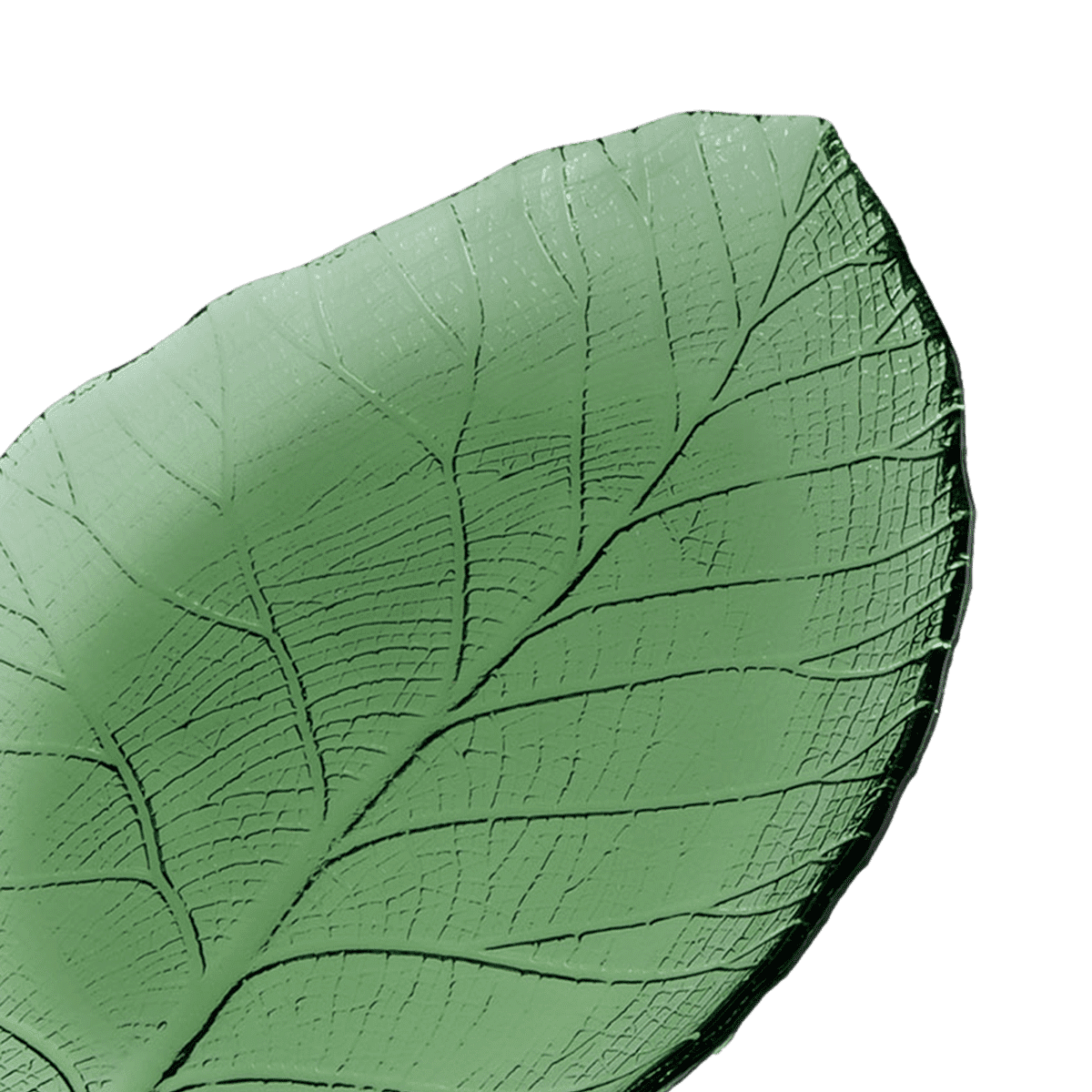 RI003248_1_1_2