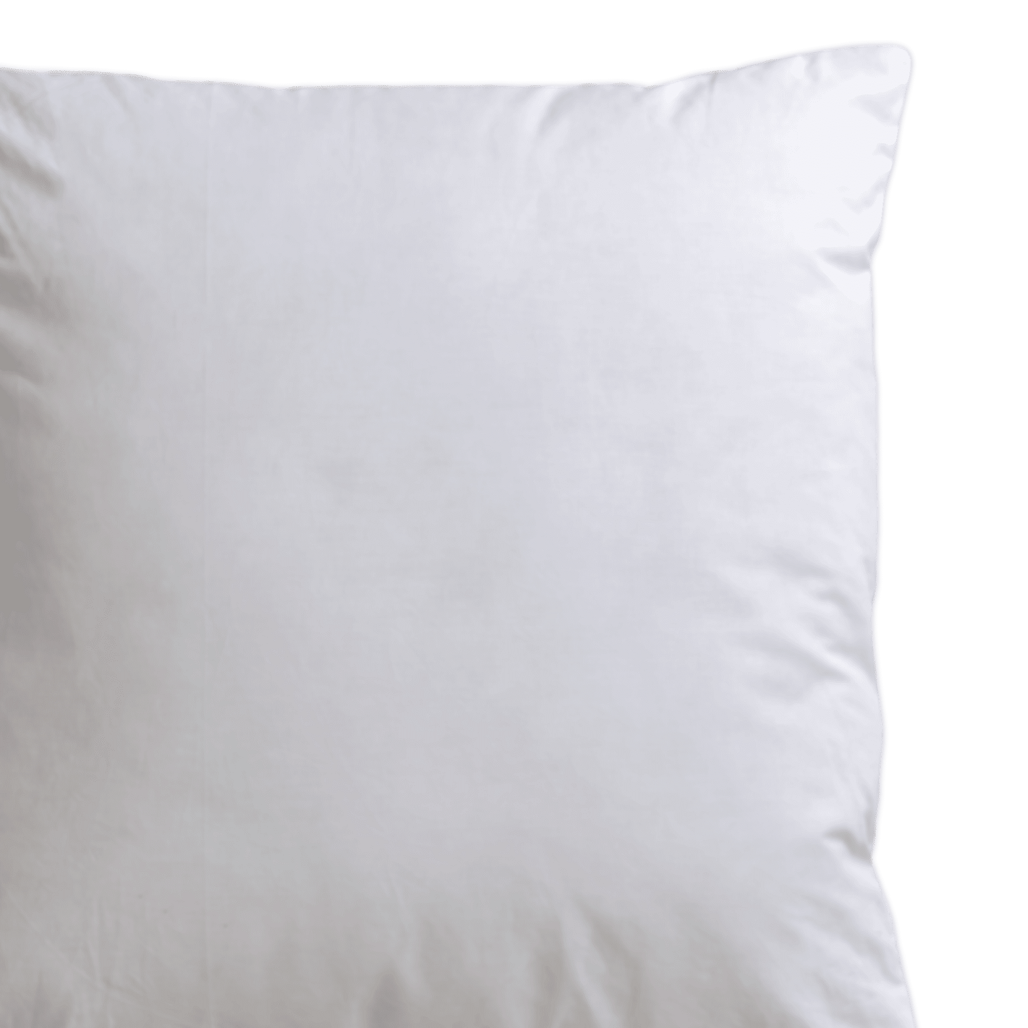 Square Cushion Insert 20"L x 20"W