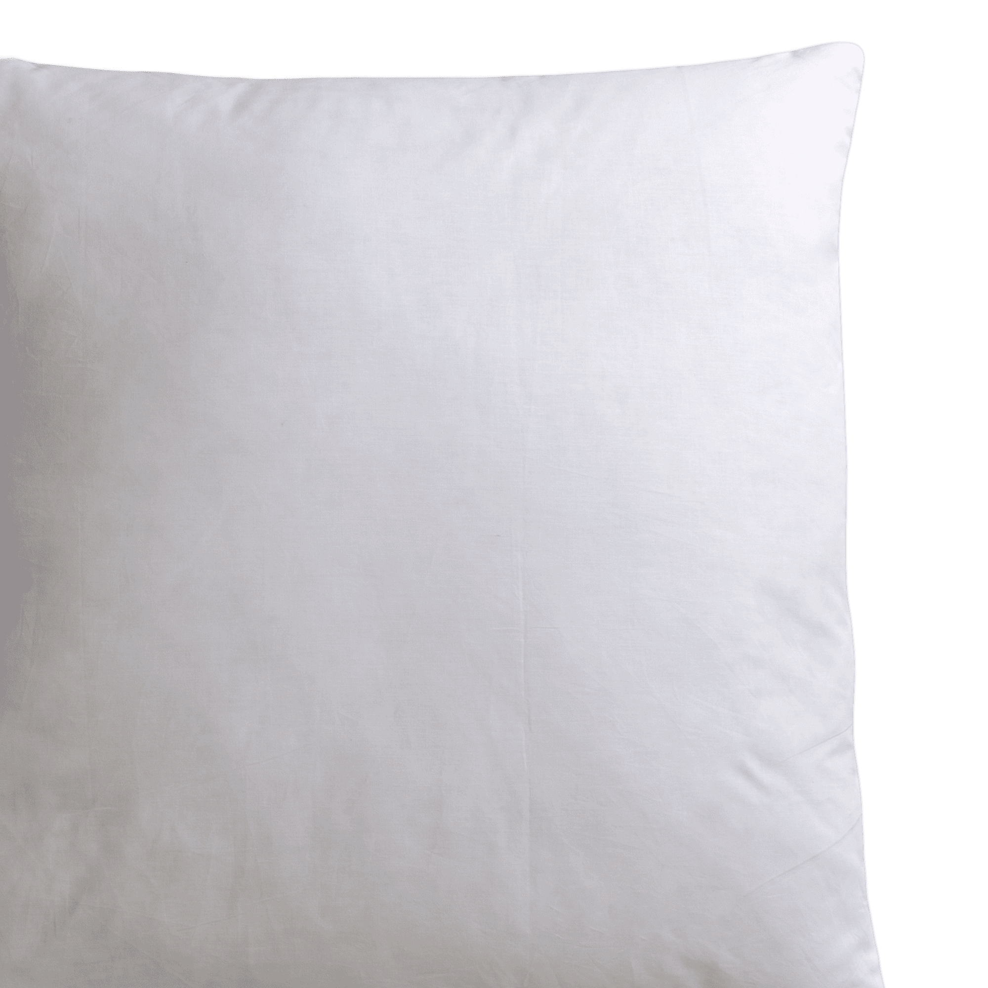 Square Cushion Insert 24"L x 24"W