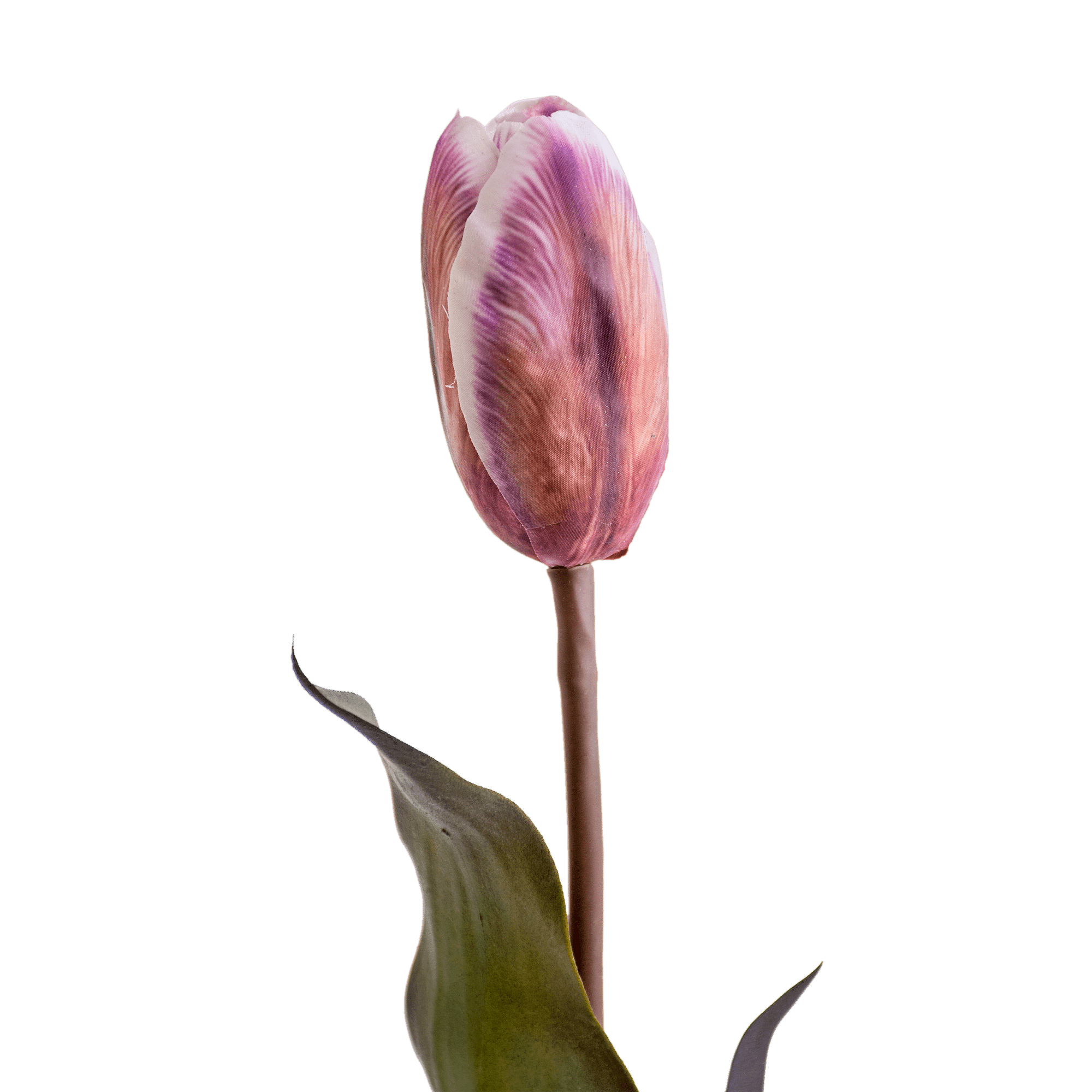 RI003764_1_1