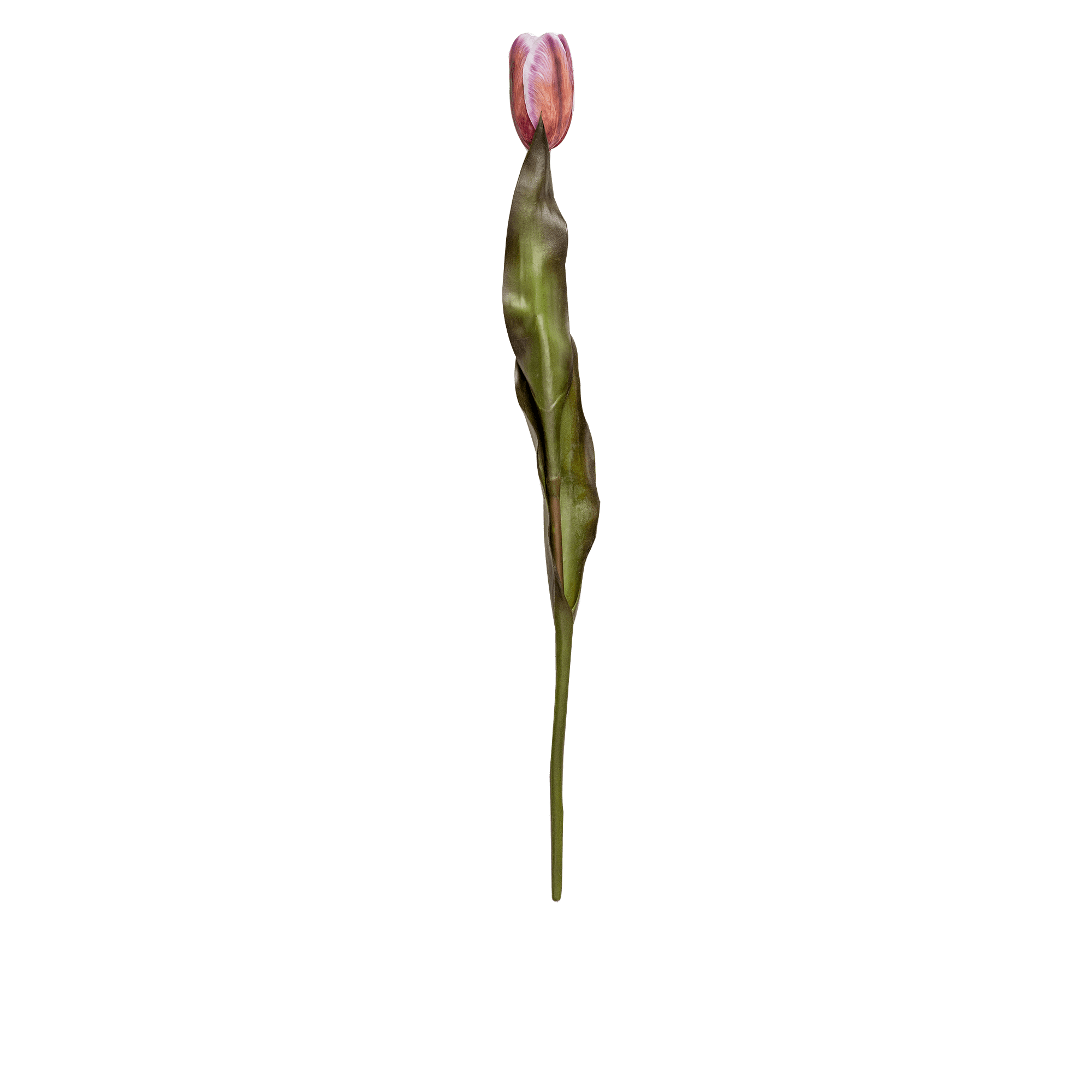RI003764_3