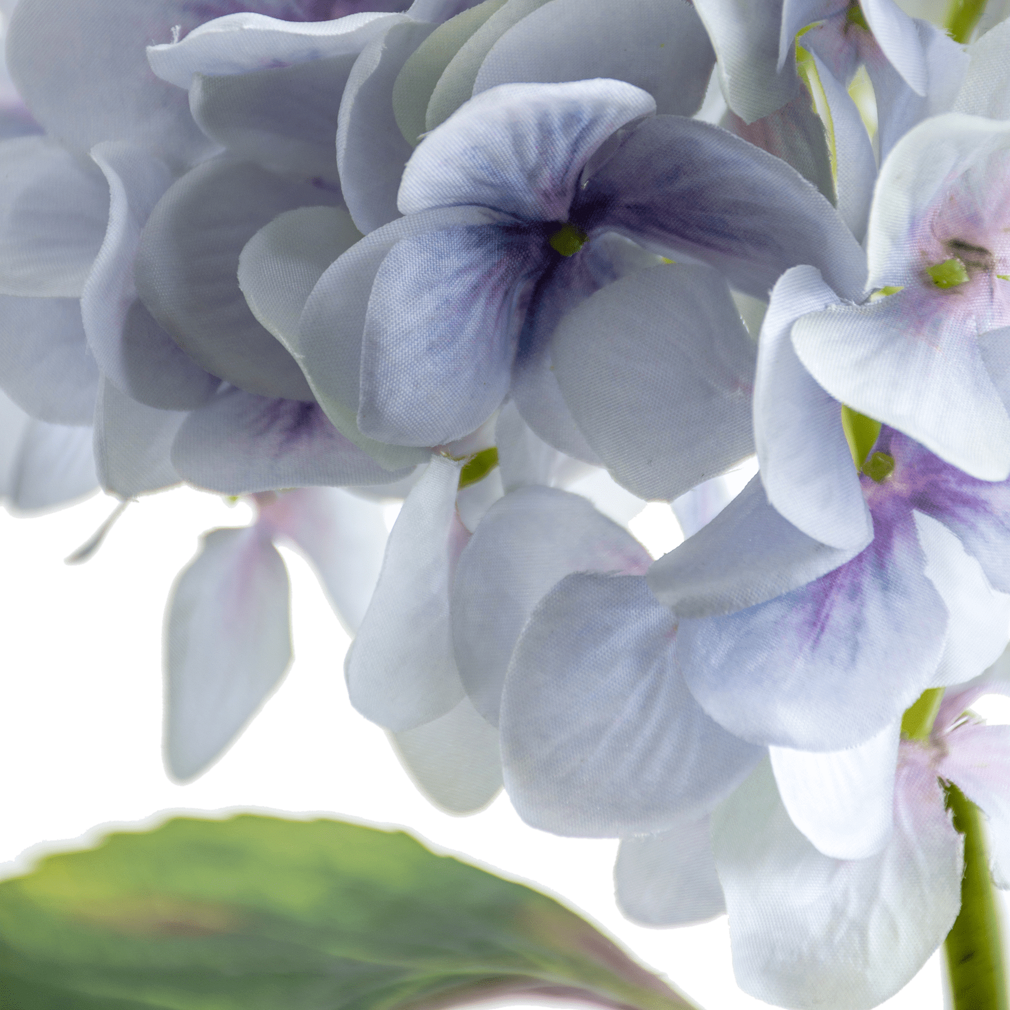 RI003765_1_1