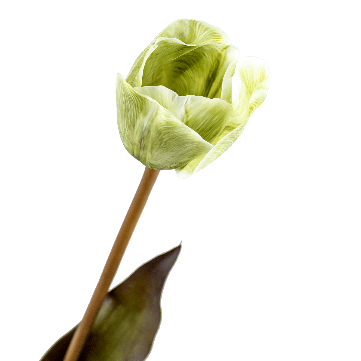 RI003766_1_1