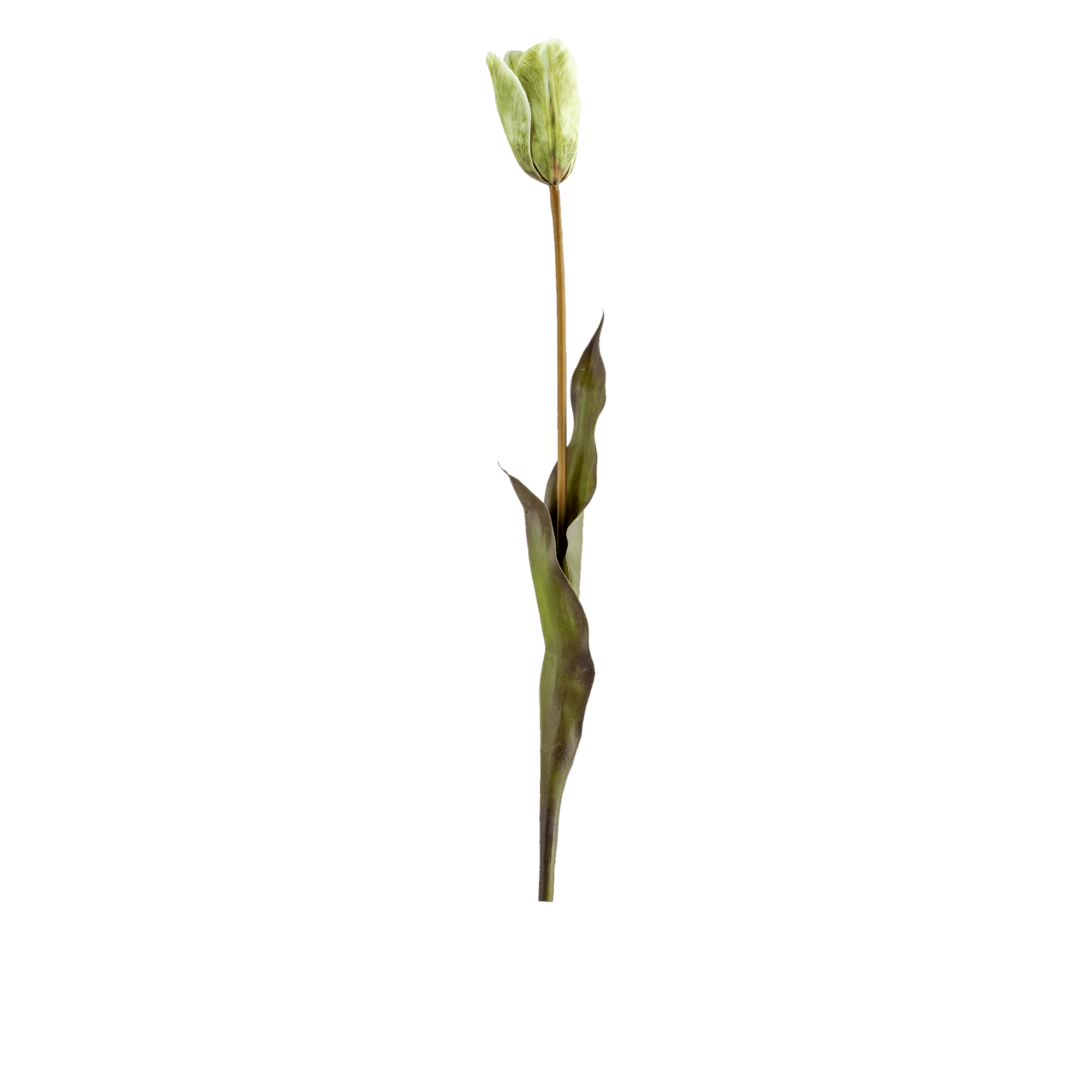 RI003766_2