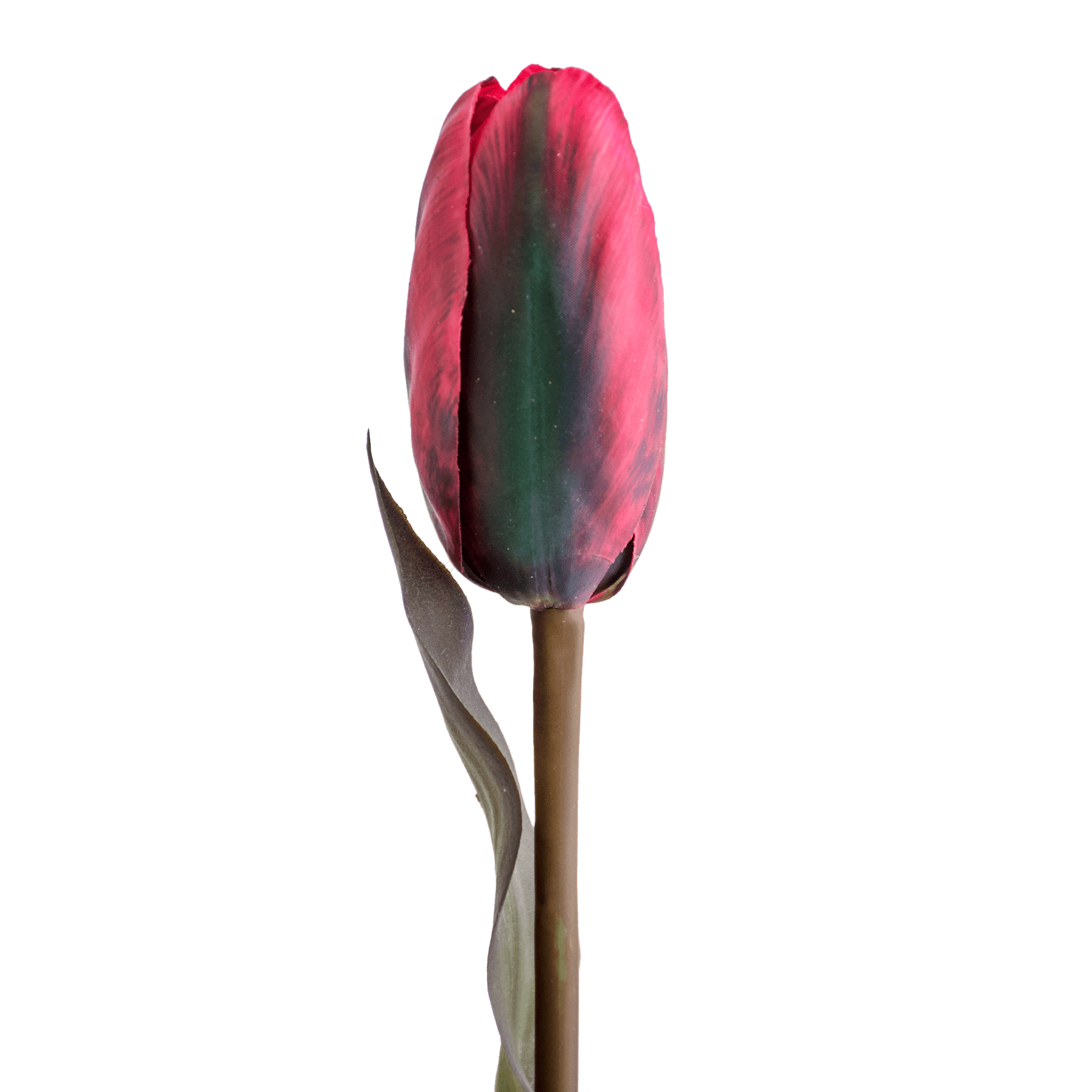 RI003768_2_1