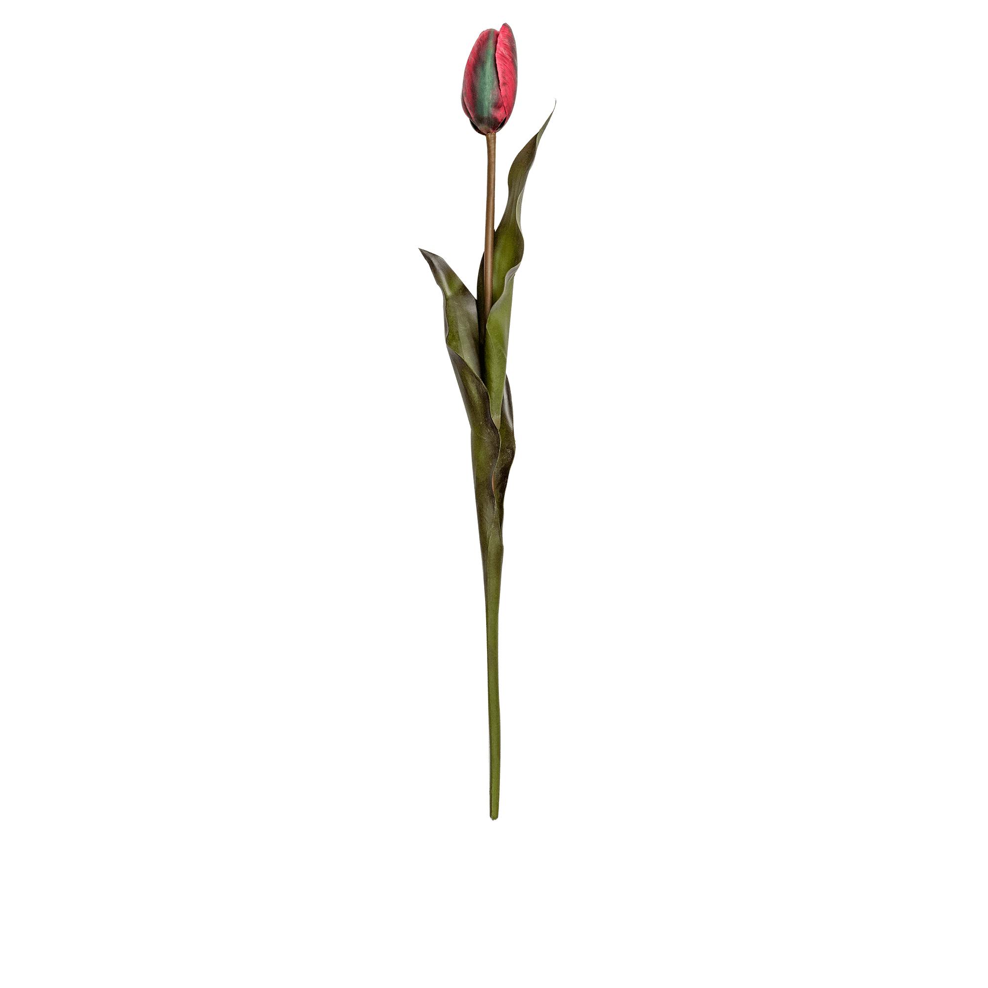 RI003768_3