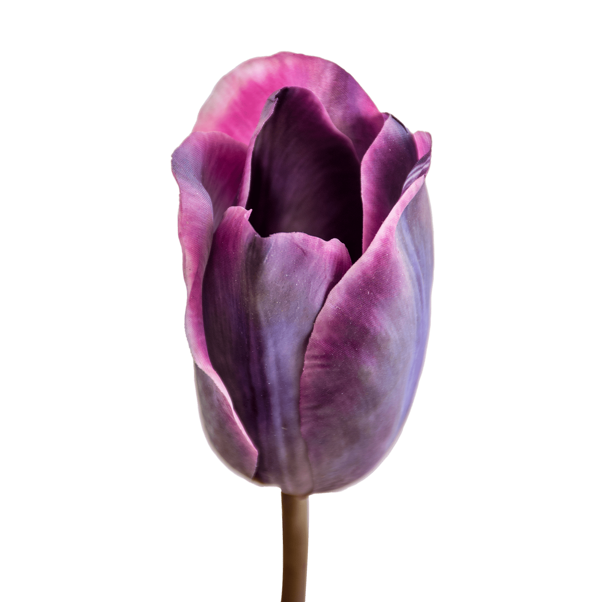 RI003769_1_1