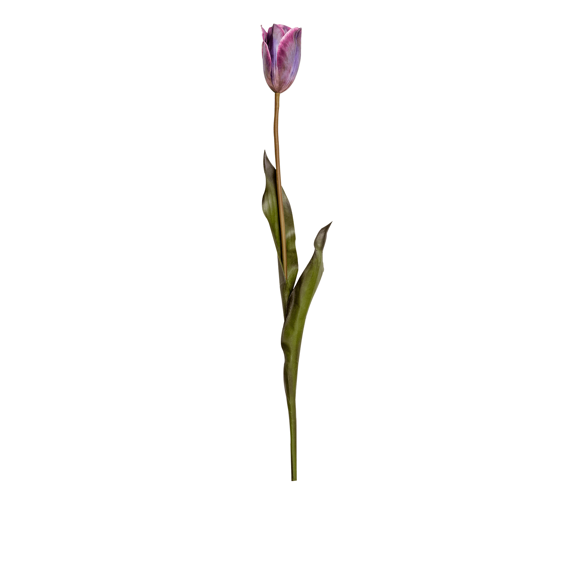 RI003769_3