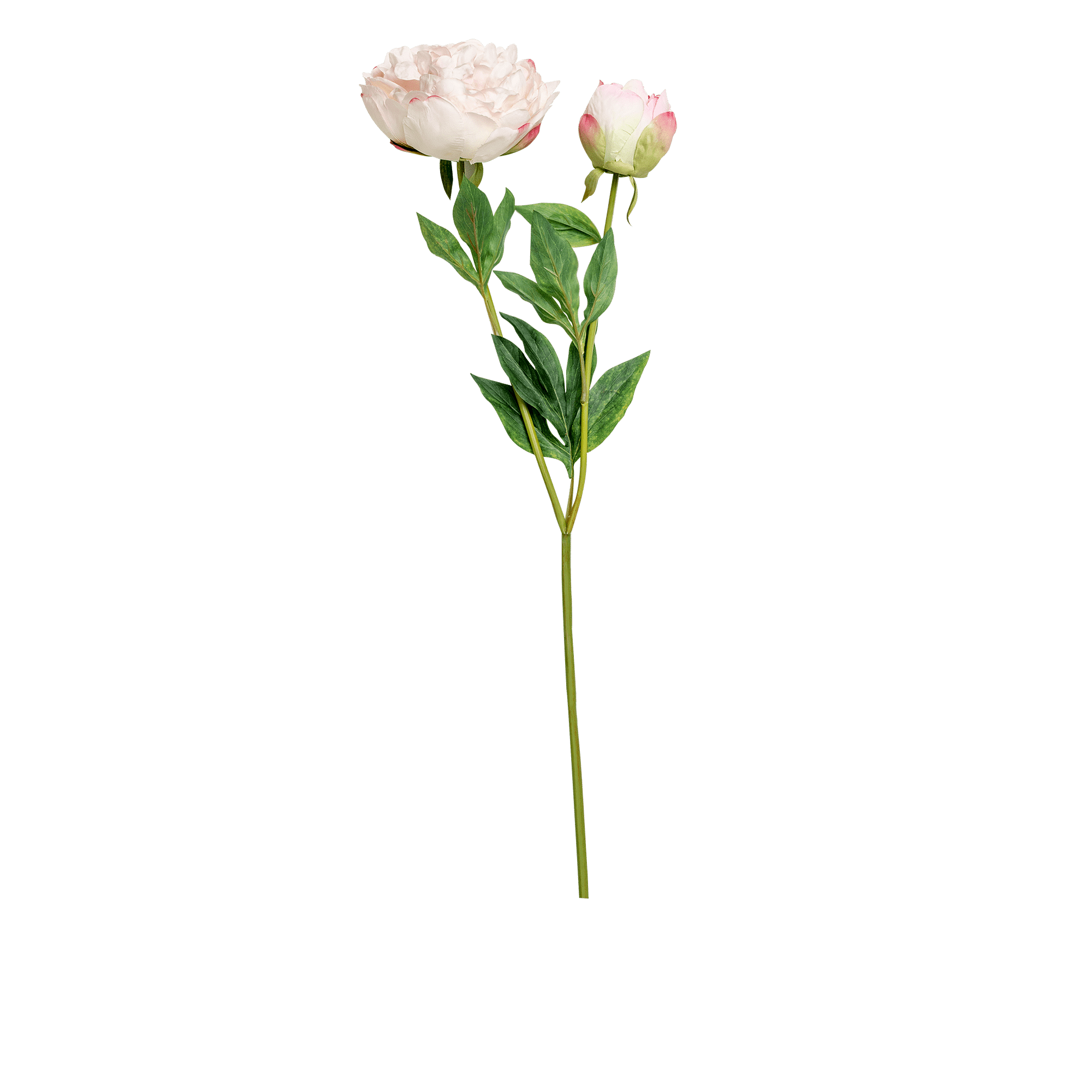 RI003770_3