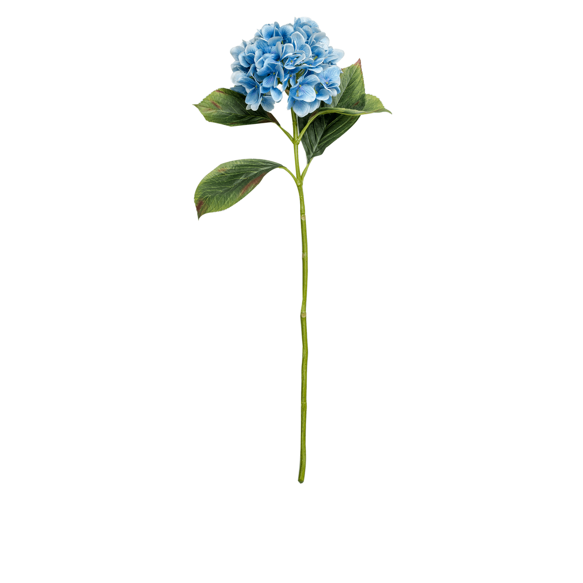 Hydrangea Stem Large