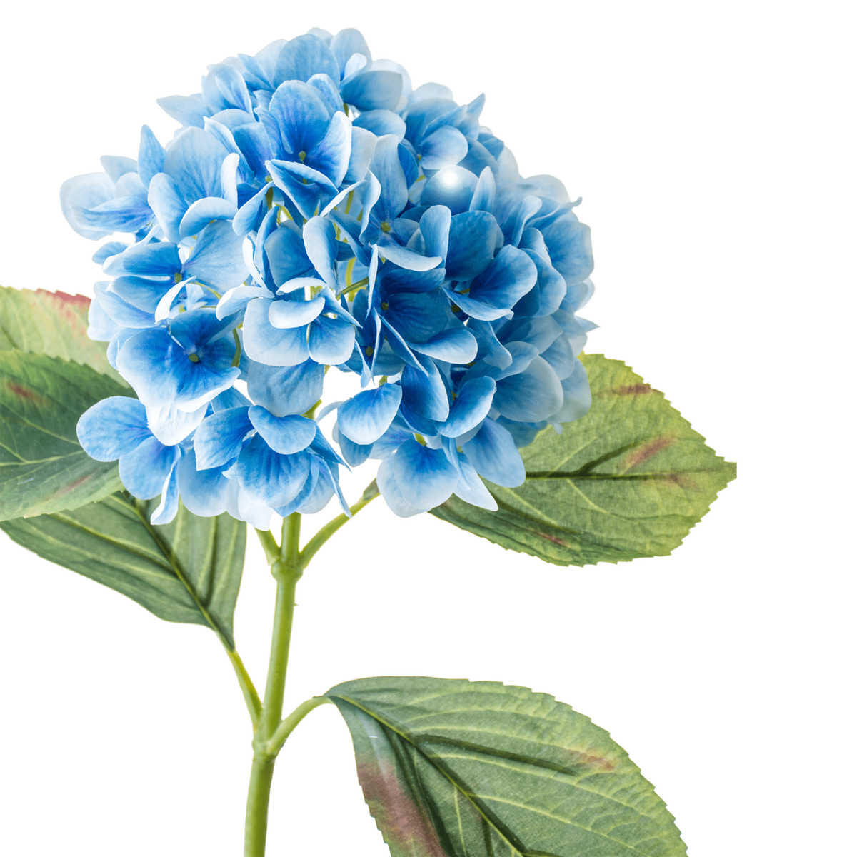Hydrangea Stem Large