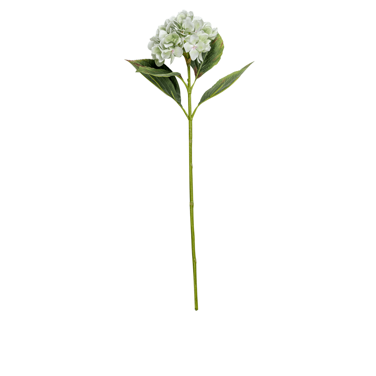 Hydrangea Stem Large