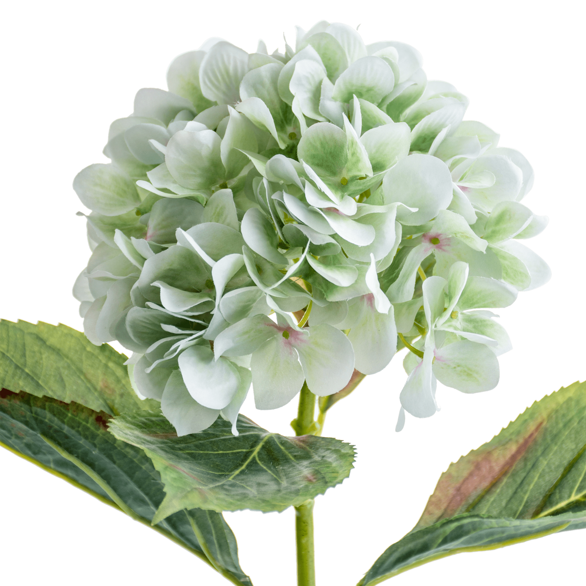 Hydrangea Stem Large