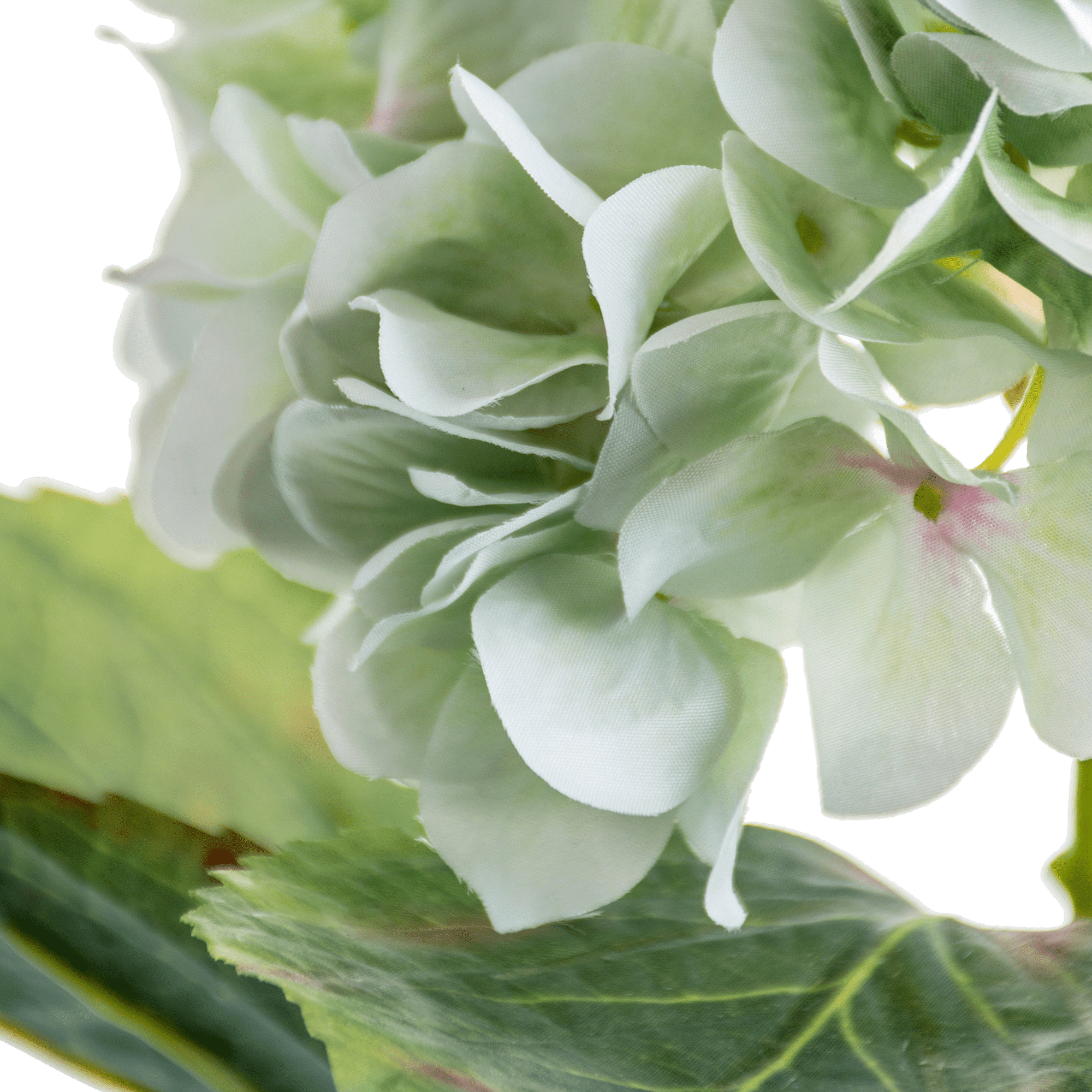 RI003772_1_1