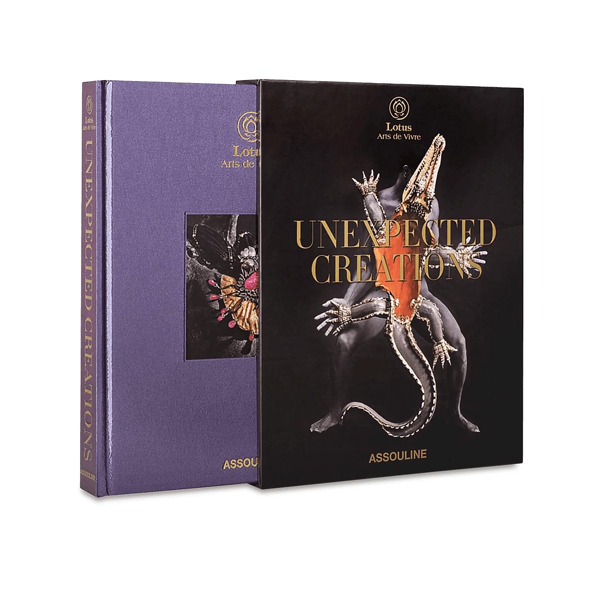 Unexpected Creation Coffee Table Book