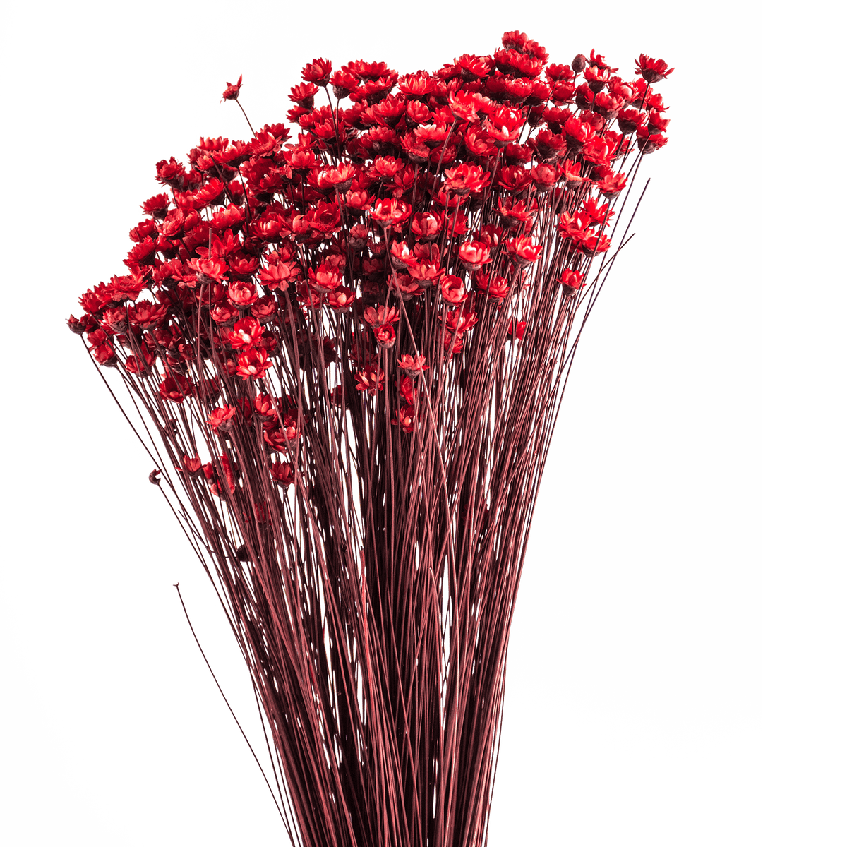 RI004133_2_1
