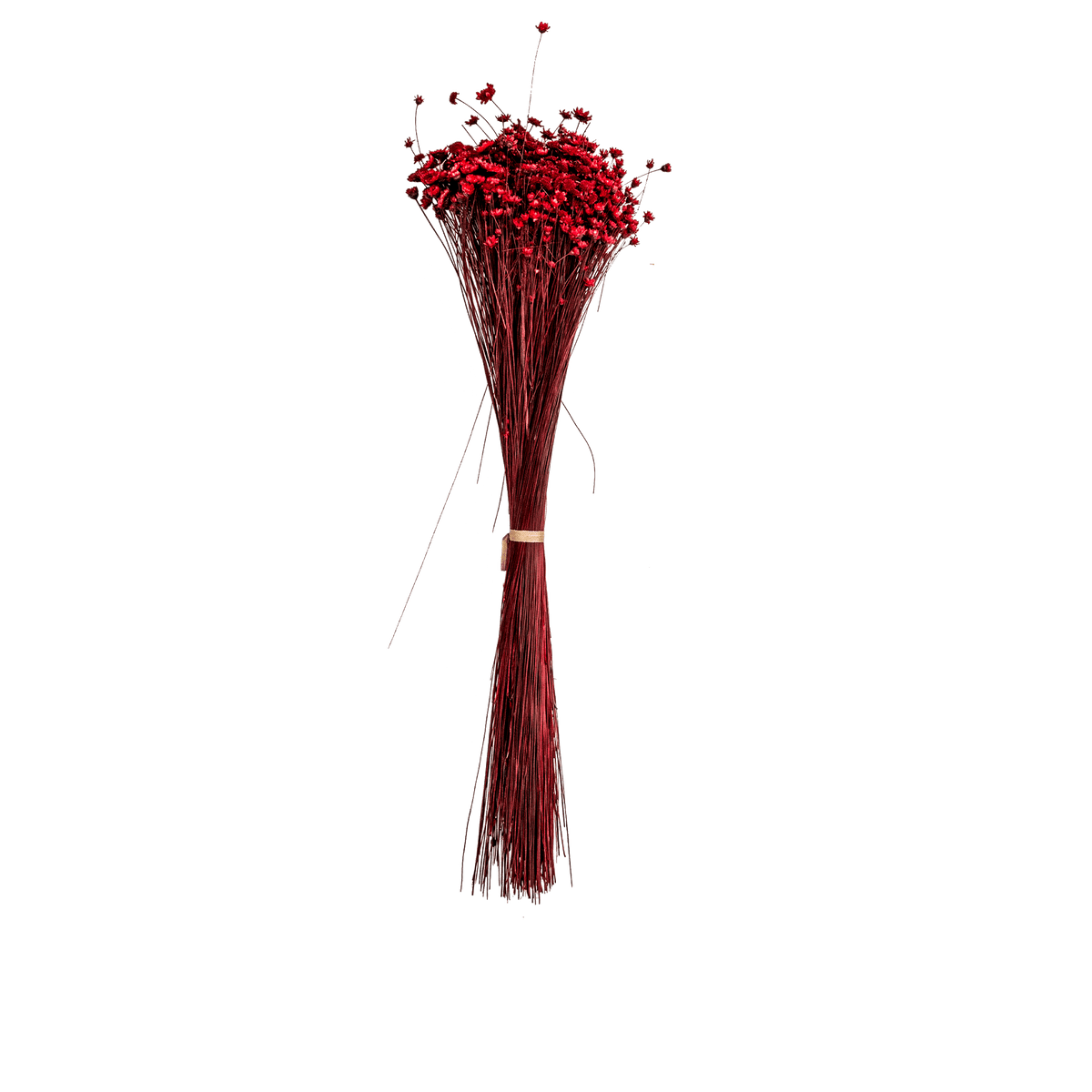 RI004133_3