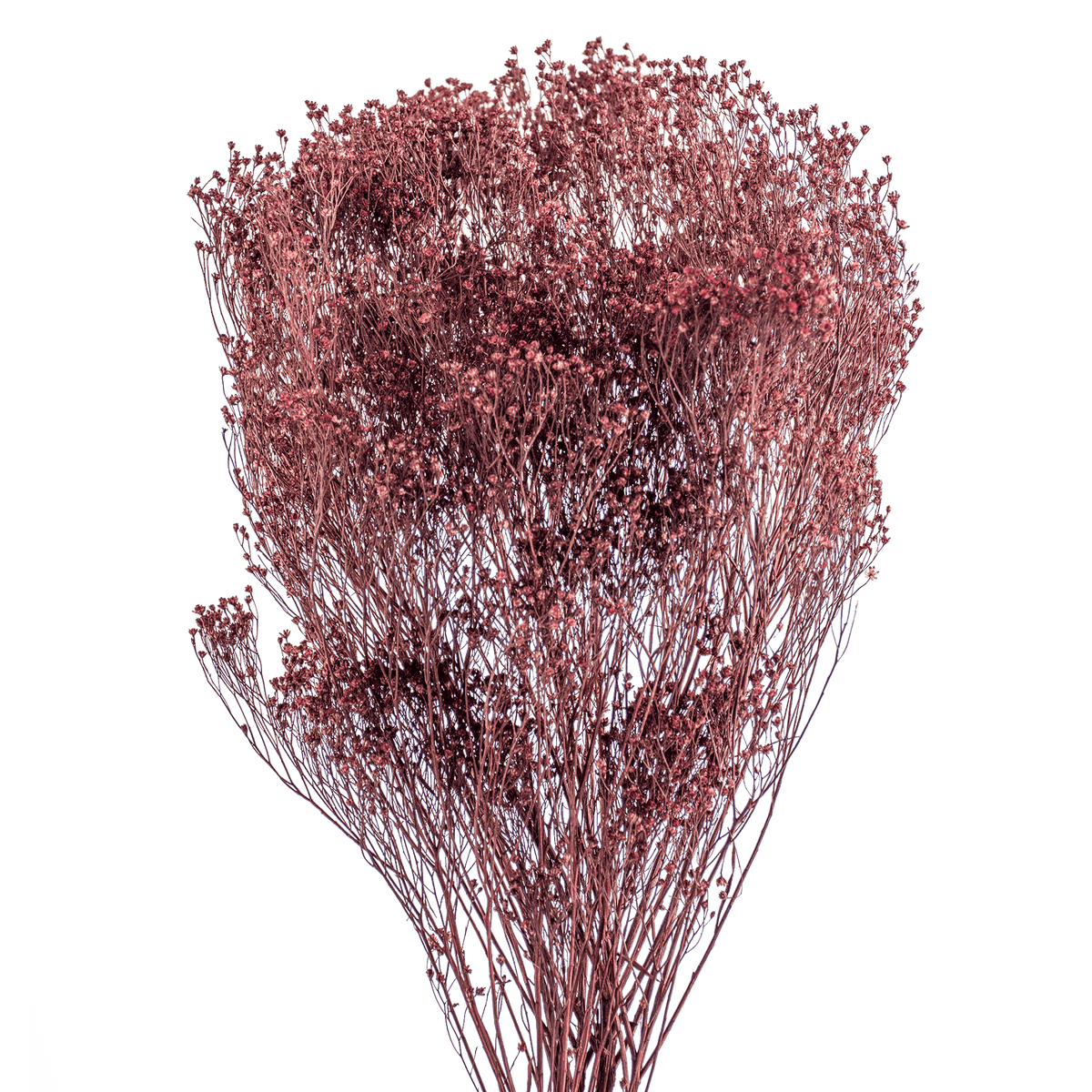 RI004138_2_1