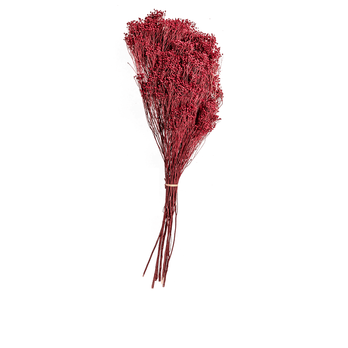 RI004138_3