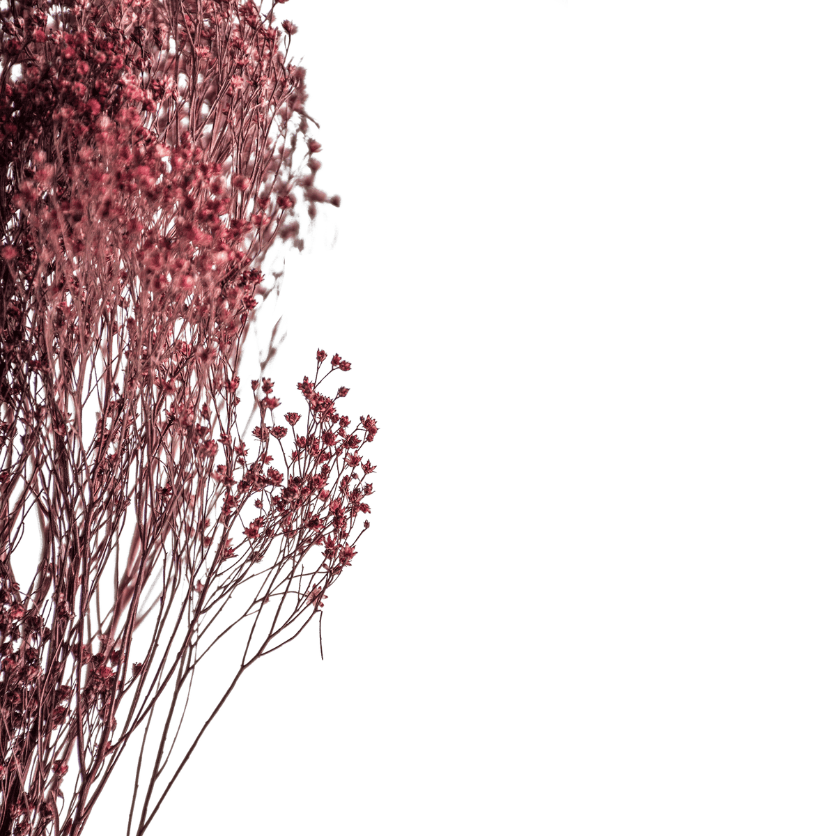 RI004139_1_1