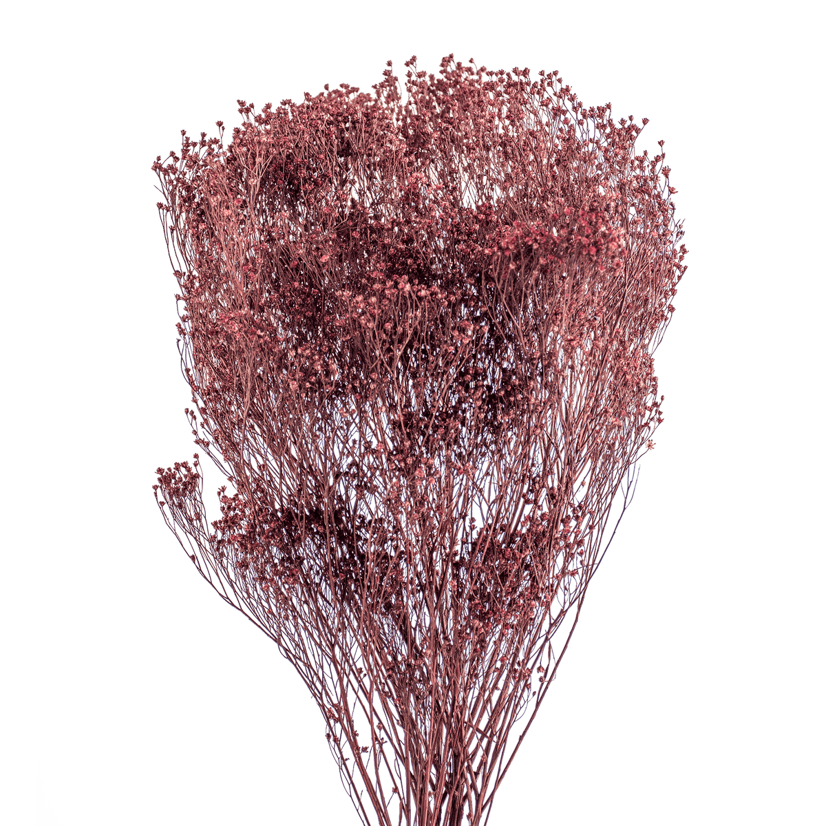 RI004139_2_1