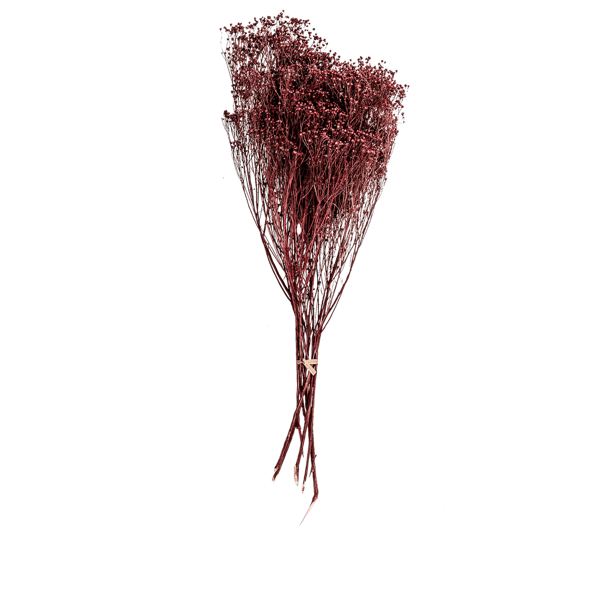 RI004139_3_1
