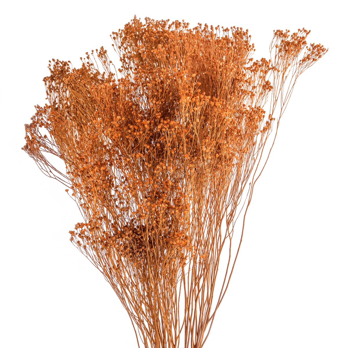 RI004140_2_1