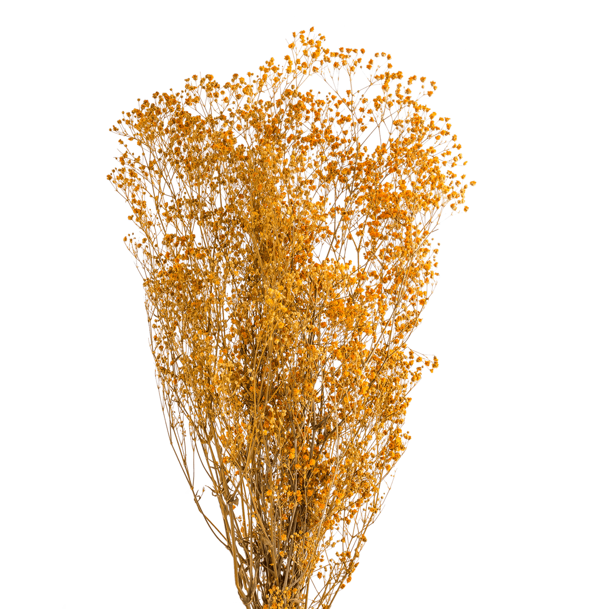 RI004141_2_1