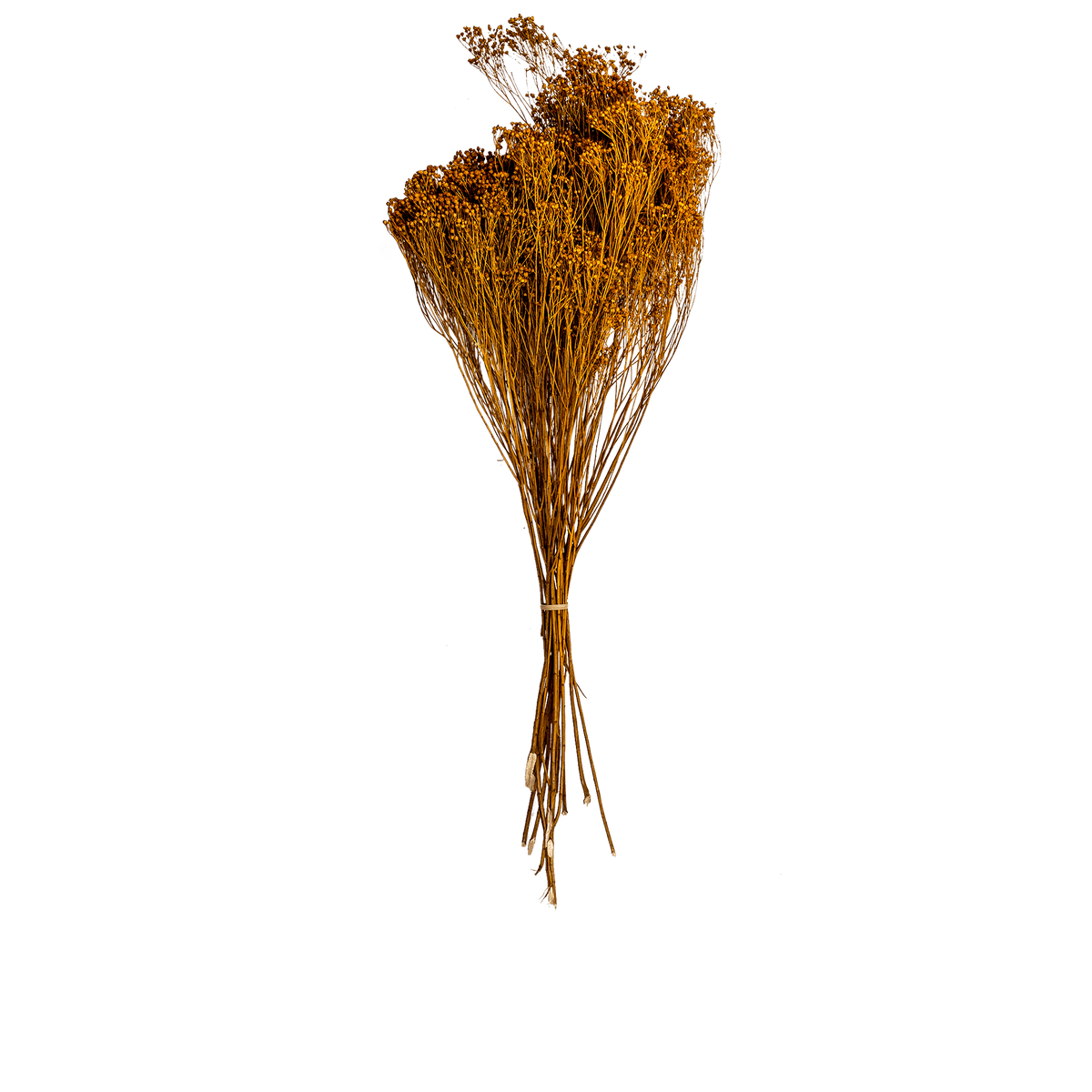 RI004141_3