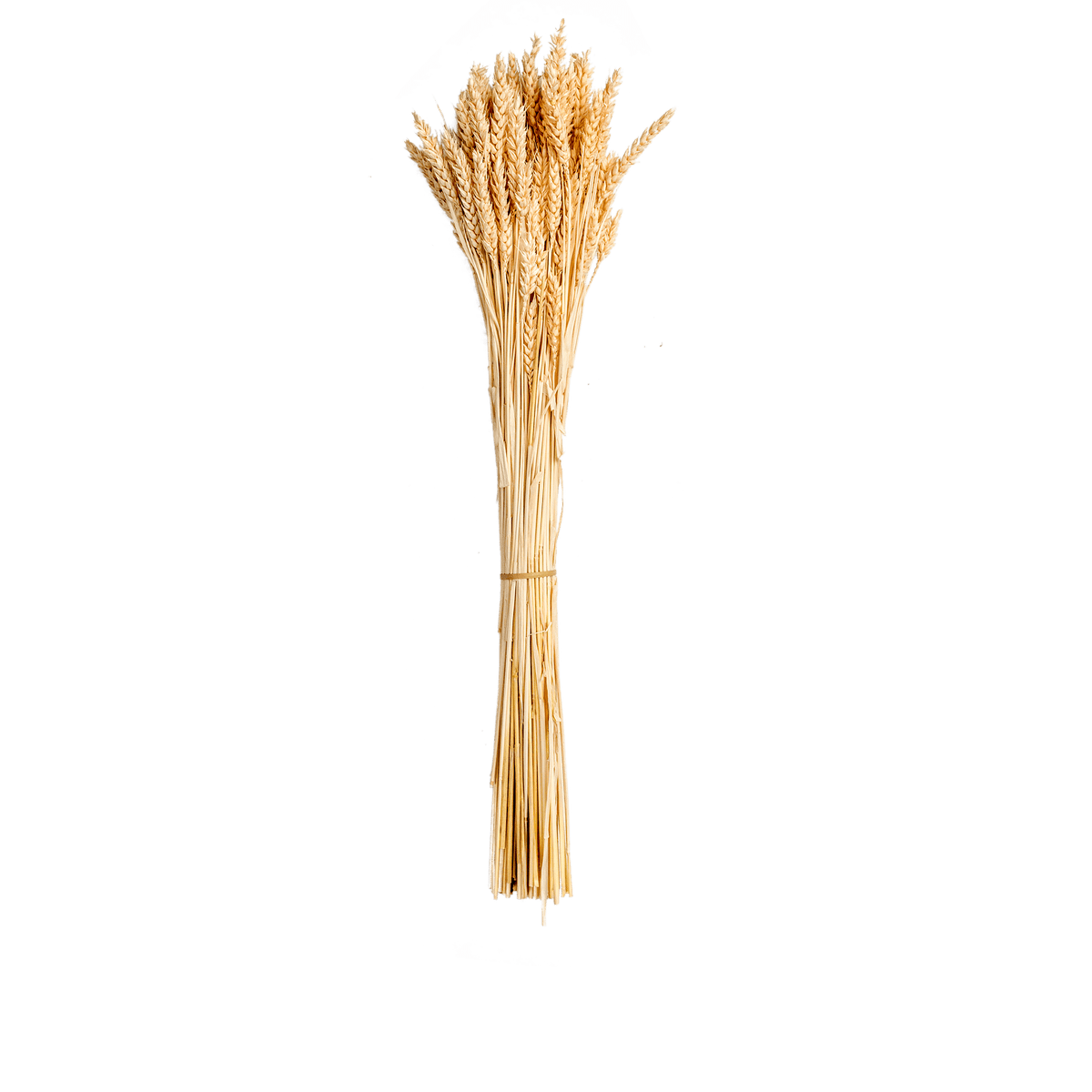 RI004143_3